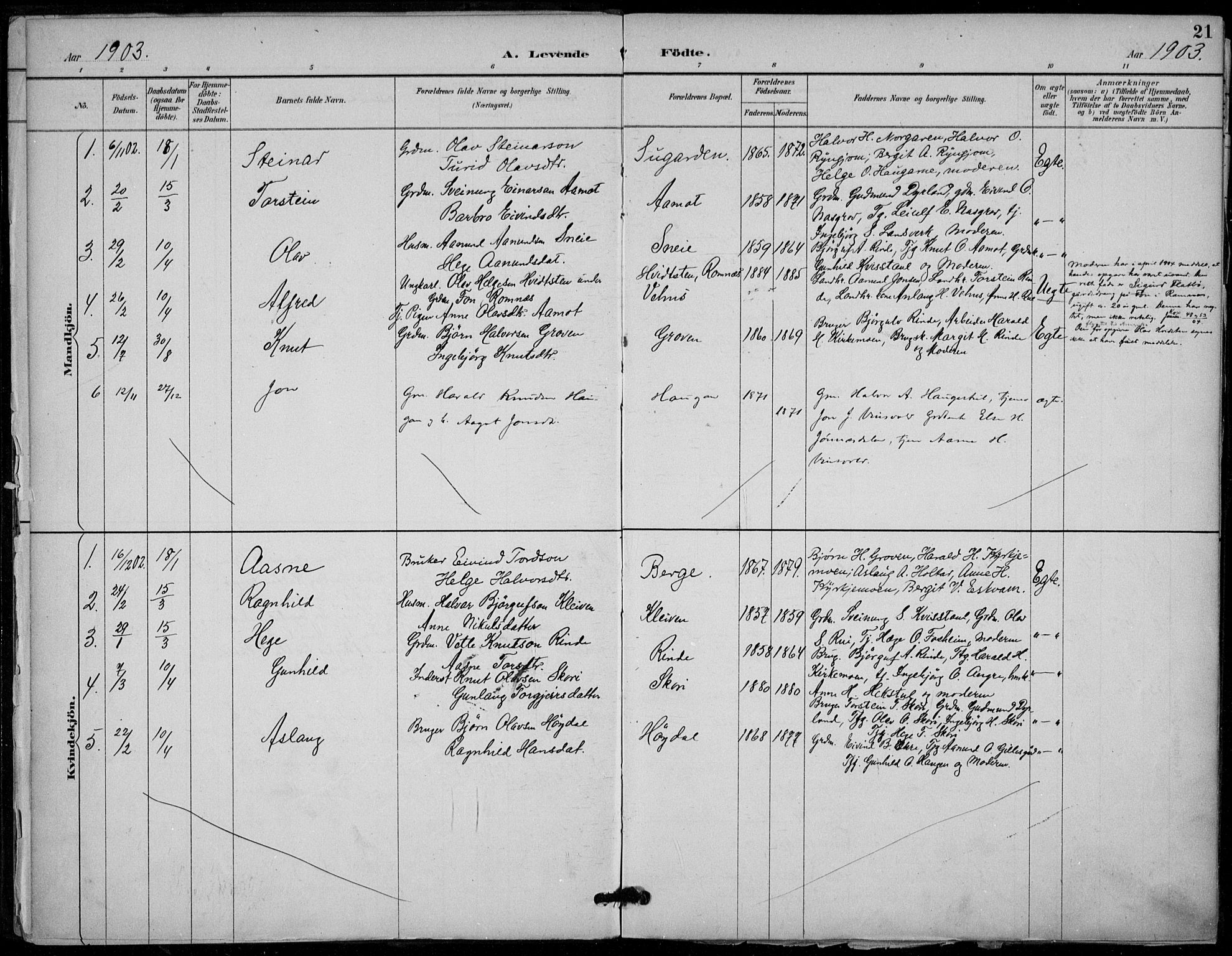 Seljord kirkebøker, AV/SAKO-A-20/F/Fc/L0002: Ministerialbok nr. III 2, 1887-1920, s. 21