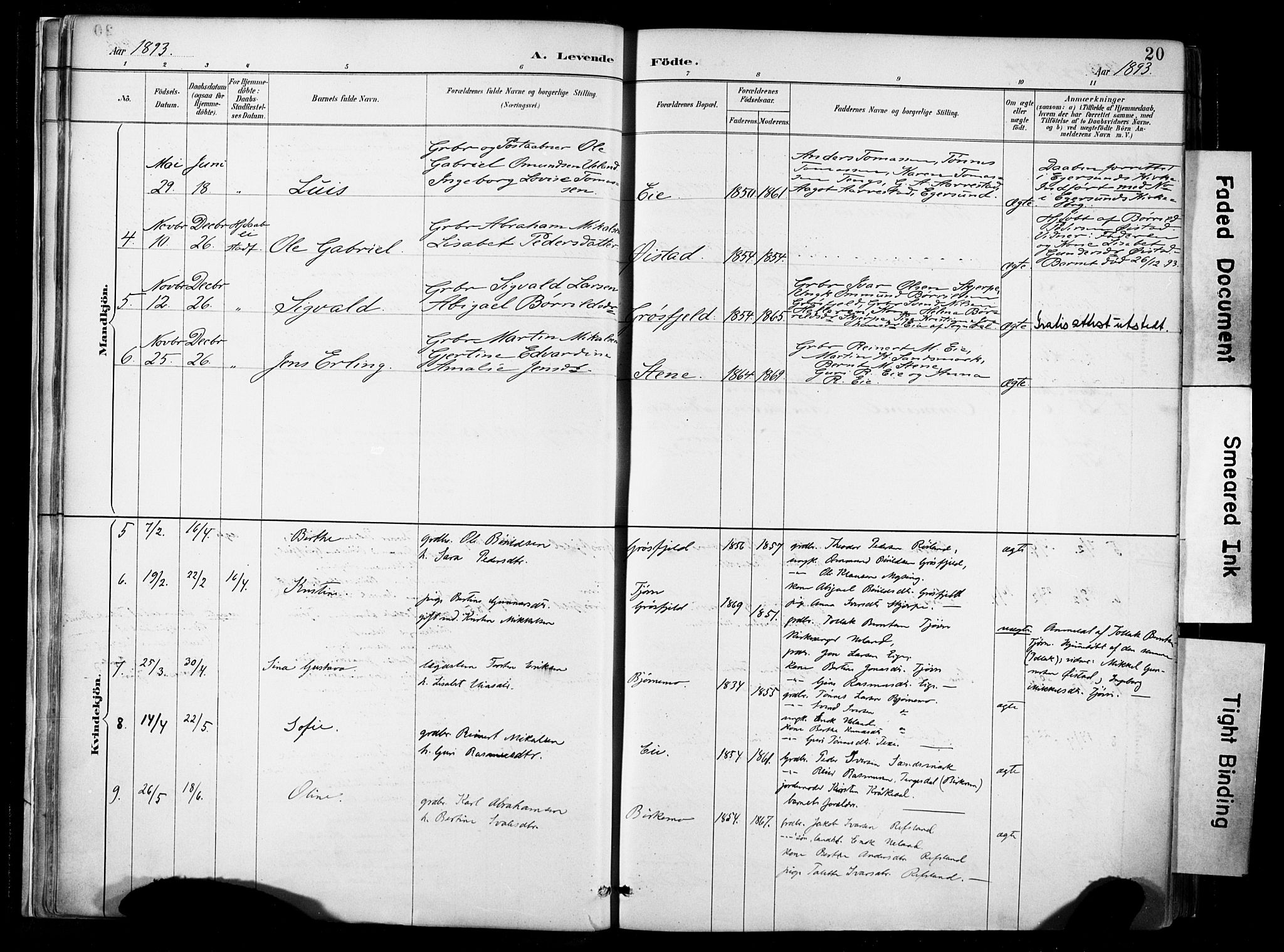 Lund sokneprestkontor, AV/SAST-A-101809/S06/L0012: Ministerialbok nr. A 11, 1887-1921, s. 20