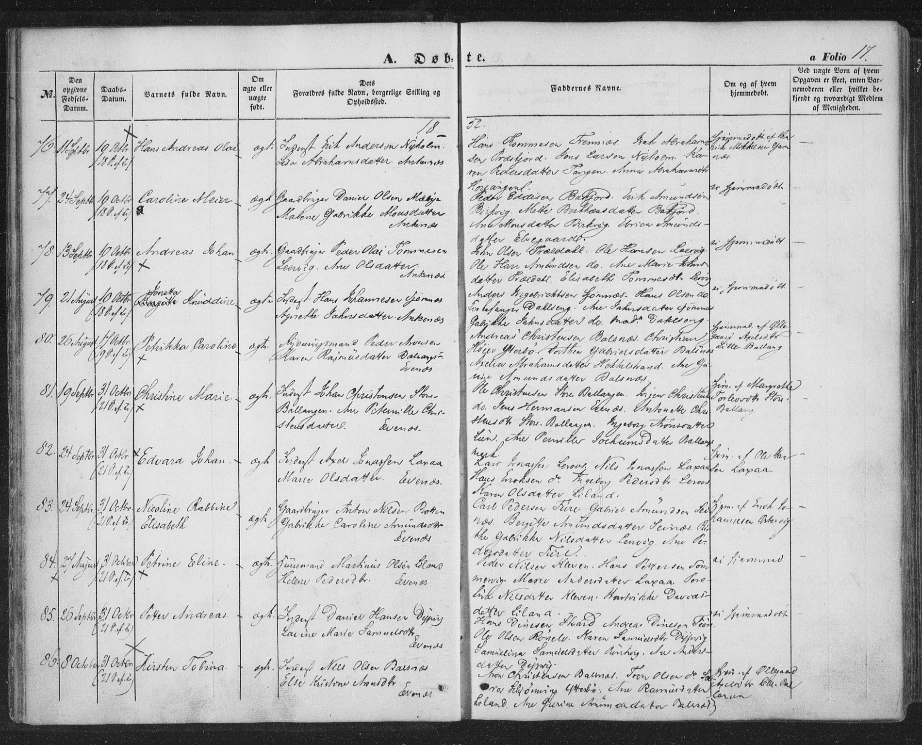 Ministerialprotokoller, klokkerbøker og fødselsregistre - Nordland, AV/SAT-A-1459/863/L0895: Ministerialbok nr. 863A07, 1851-1860, s. 17