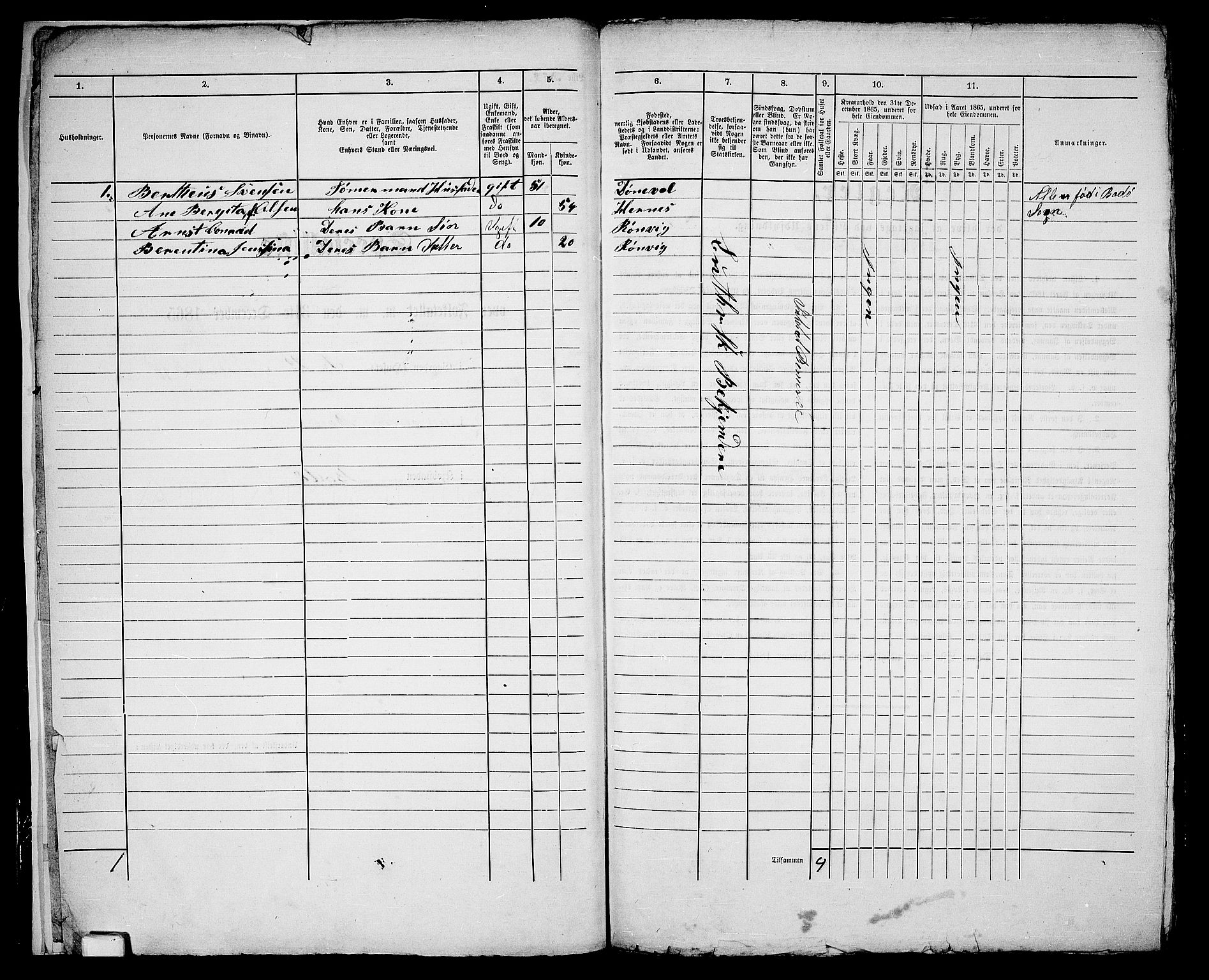 RA, Folketelling 1865 for 1804B Bodø prestegjeld, Bodø kjøpstad, 1865, s. 9