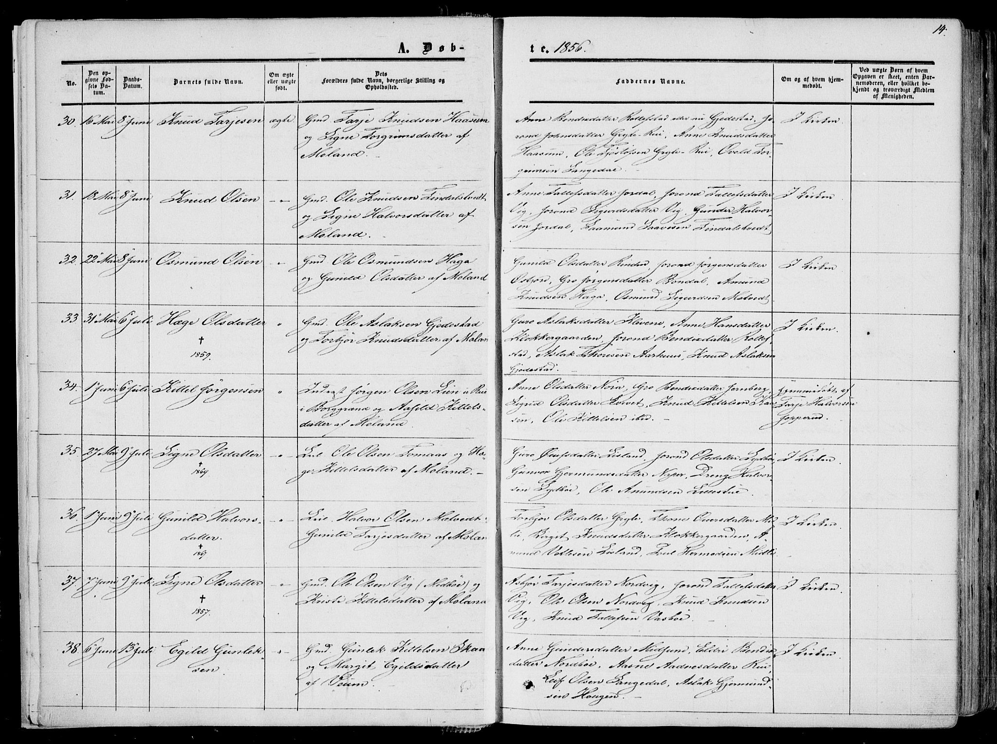 Fyresdal kirkebøker, AV/SAKO-A-263/F/Fa/L0005: Ministerialbok nr. I 5, 1855-1871, s. 14