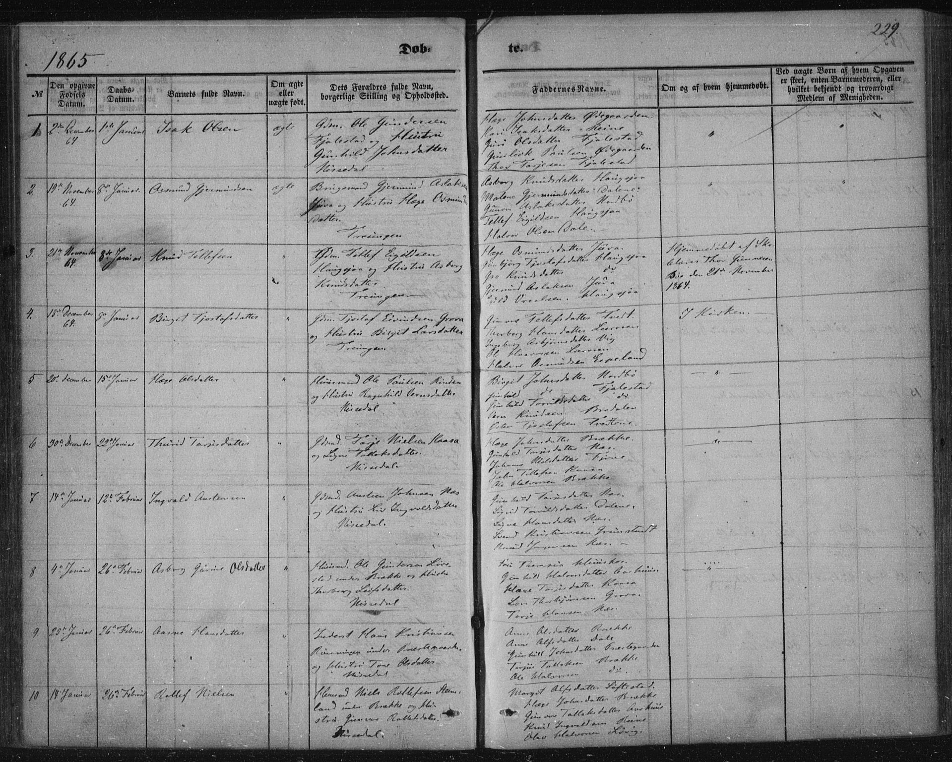 Nissedal kirkebøker, AV/SAKO-A-288/F/Fa/L0003: Ministerialbok nr. I 3, 1846-1870, s. 228-229