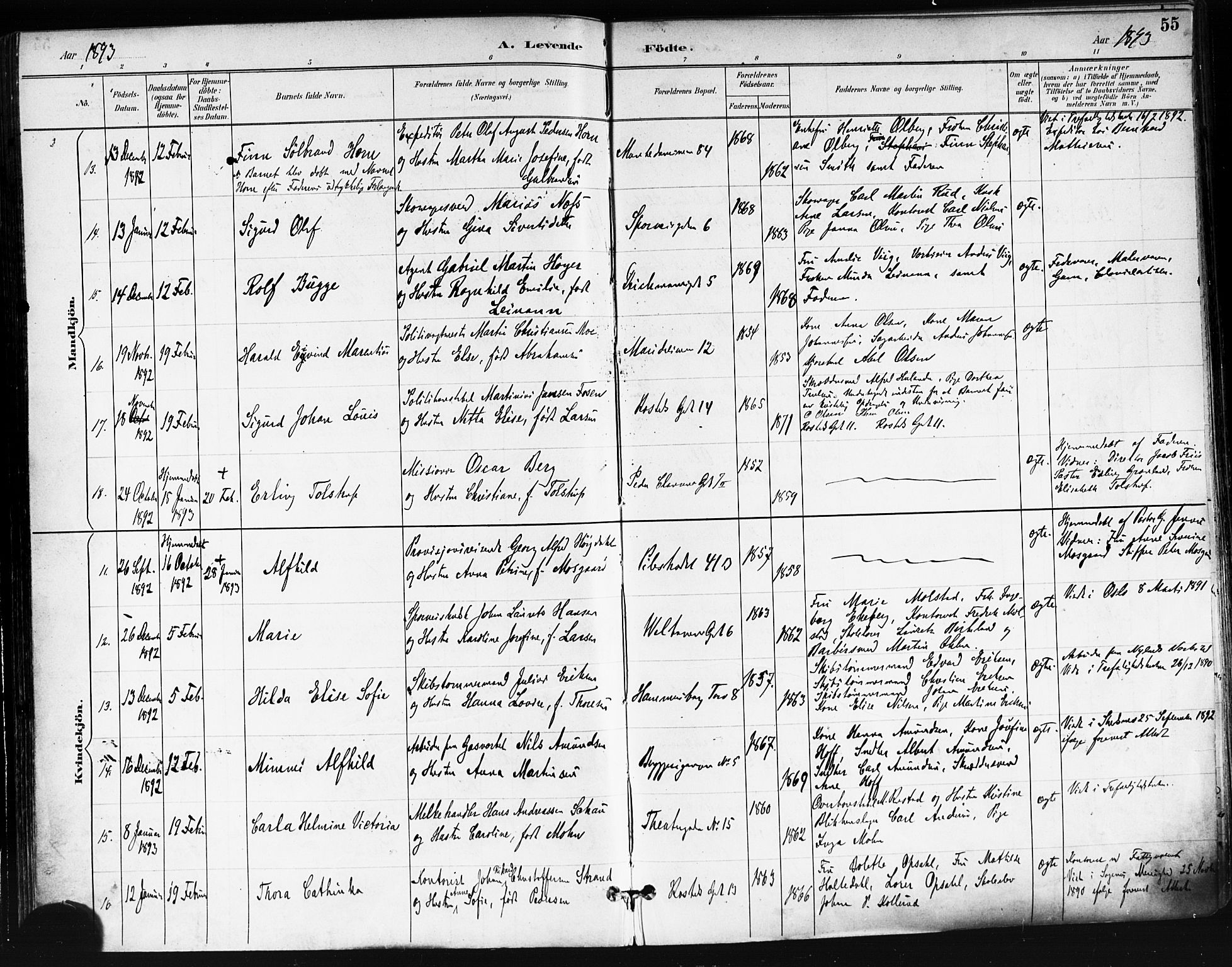 Trefoldighet prestekontor Kirkebøker, AV/SAO-A-10882/F/Fa/L0006: Ministerialbok nr. I 6, 1891-1899, s. 55
