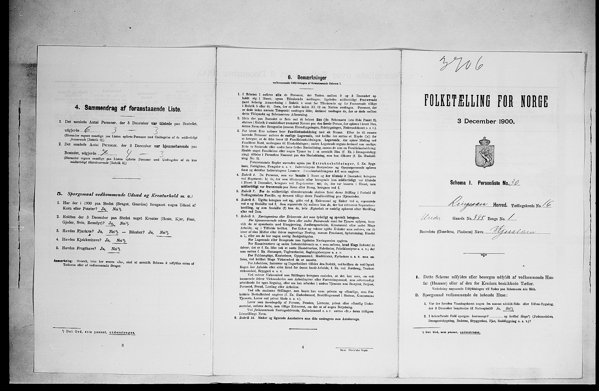 SAH, Folketelling 1900 for 0412 Ringsaker herred, 1900, s. 3008