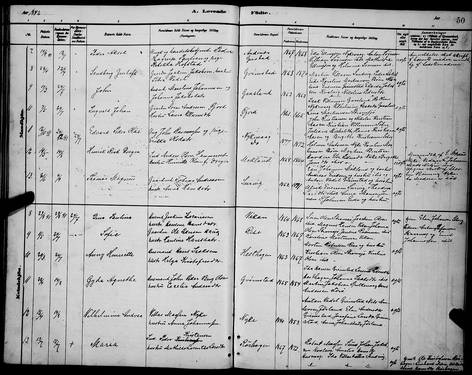 Ministerialprotokoller, klokkerbøker og fødselsregistre - Nordland, AV/SAT-A-1459/892/L1325: Klokkerbok nr. 892C02, 1878-1896, s. 50