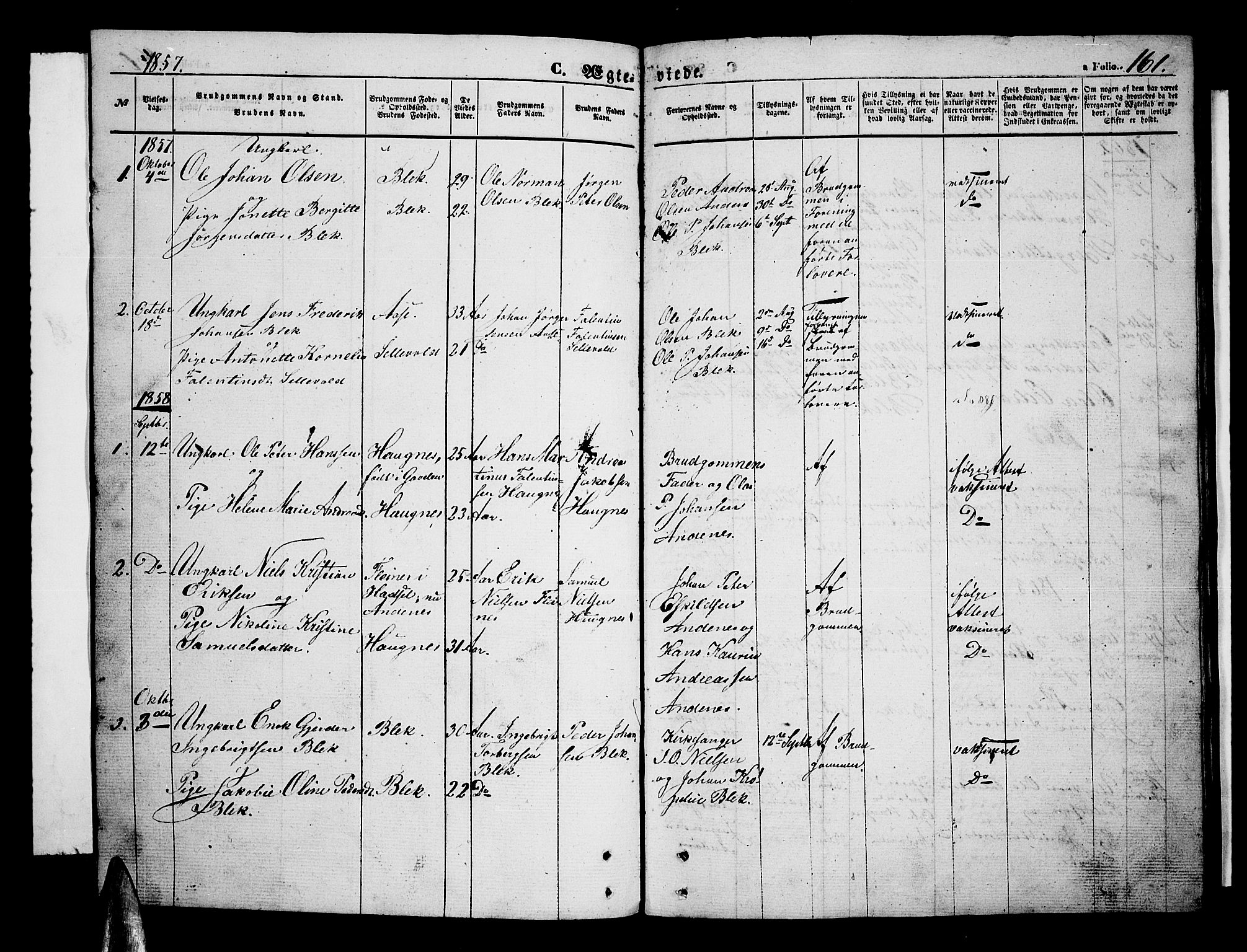 Ministerialprotokoller, klokkerbøker og fødselsregistre - Nordland, AV/SAT-A-1459/899/L1447: Klokkerbok nr. 899C02, 1855-1886, s. 161