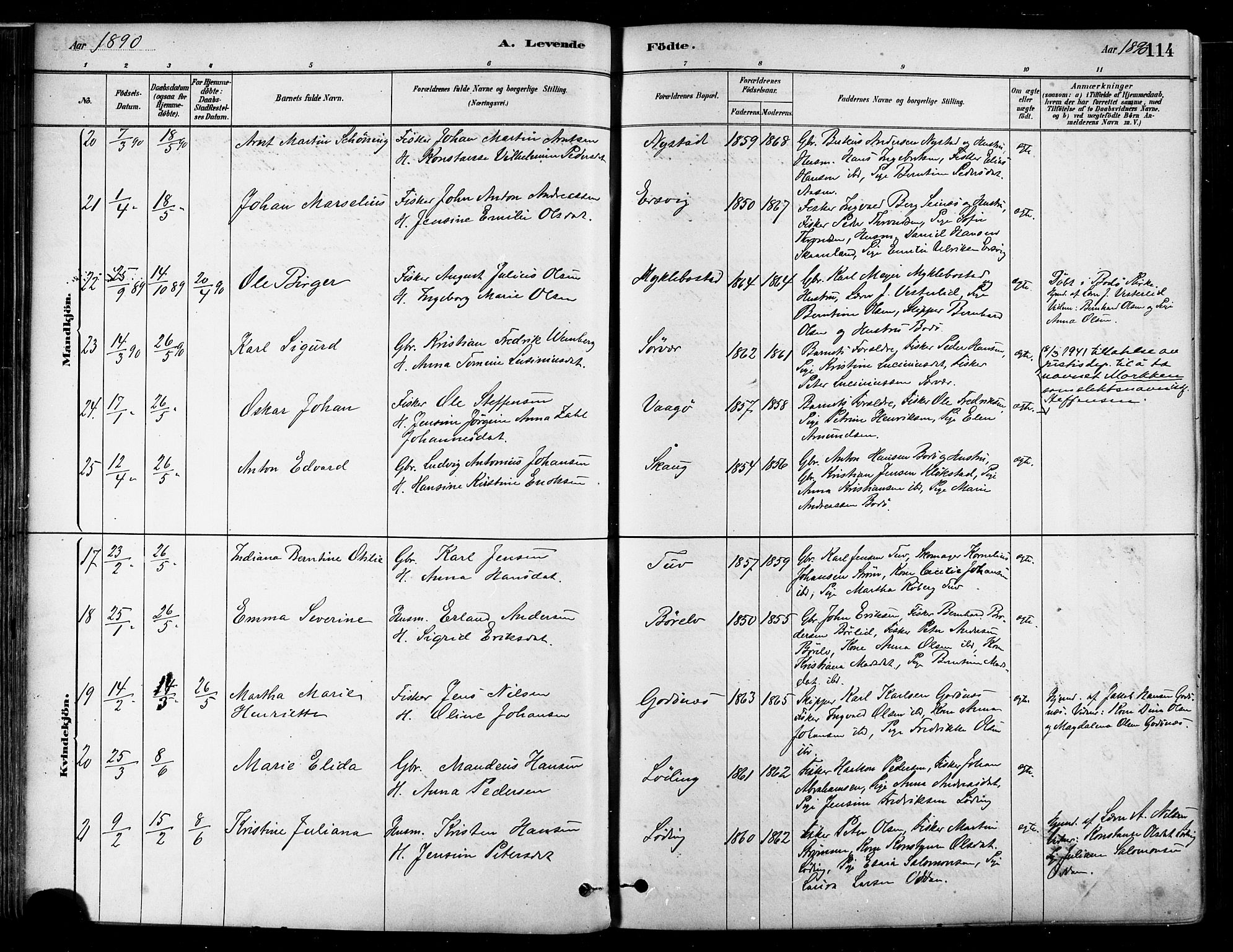 Ministerialprotokoller, klokkerbøker og fødselsregistre - Nordland, AV/SAT-A-1459/802/L0054: Ministerialbok nr. 802A01, 1879-1893, s. 114