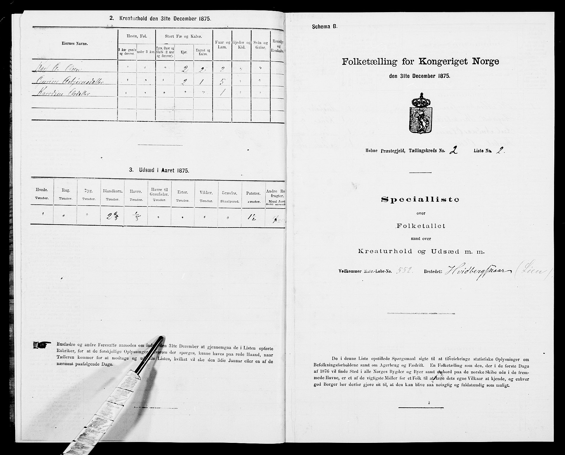 SAK, Folketelling 1875 for 1020P Holum prestegjeld, 1875, s. 246