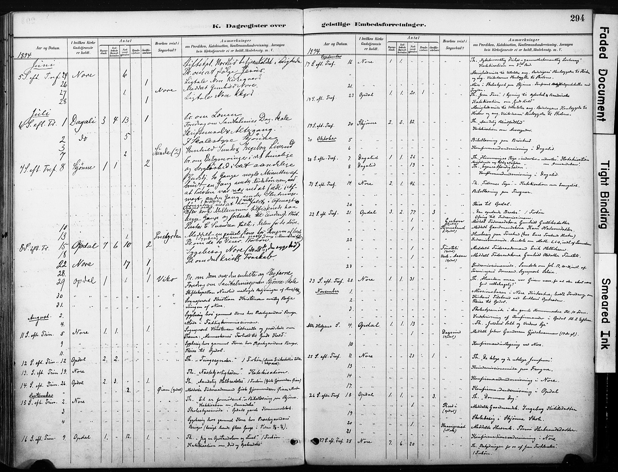 Nore kirkebøker, AV/SAKO-A-238/F/Fb/L0002: Ministerialbok nr. II 2, 1886-1906, s. 294