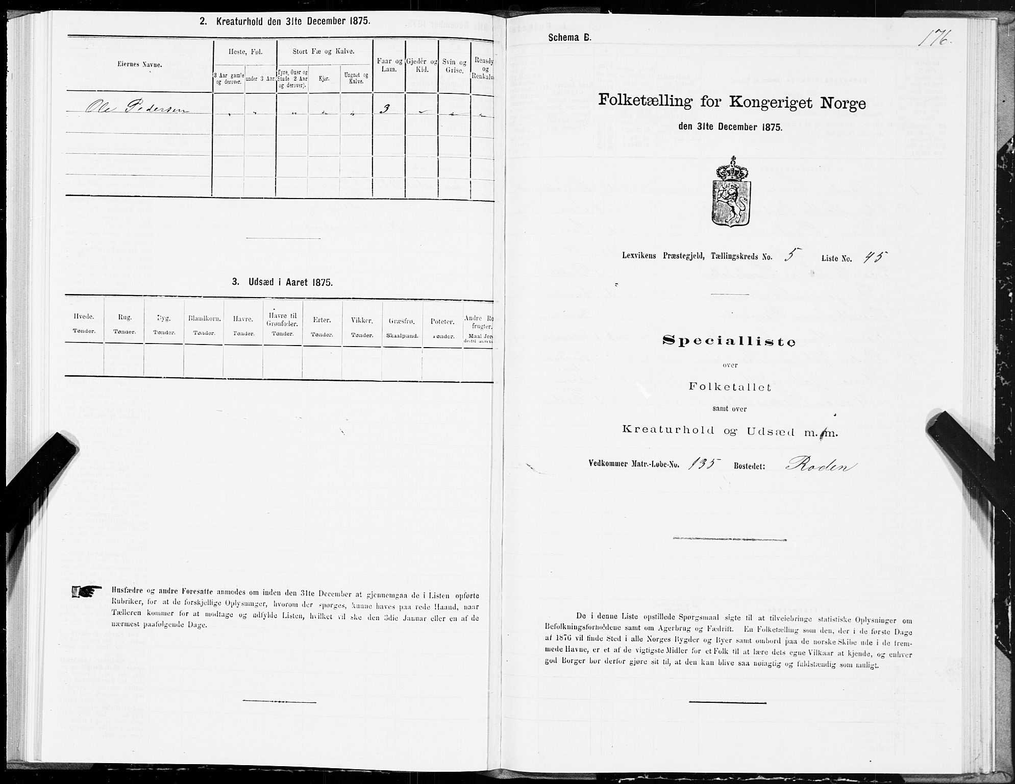 SAT, Folketelling 1875 for 1718P Leksvik prestegjeld, 1875, s. 3176
