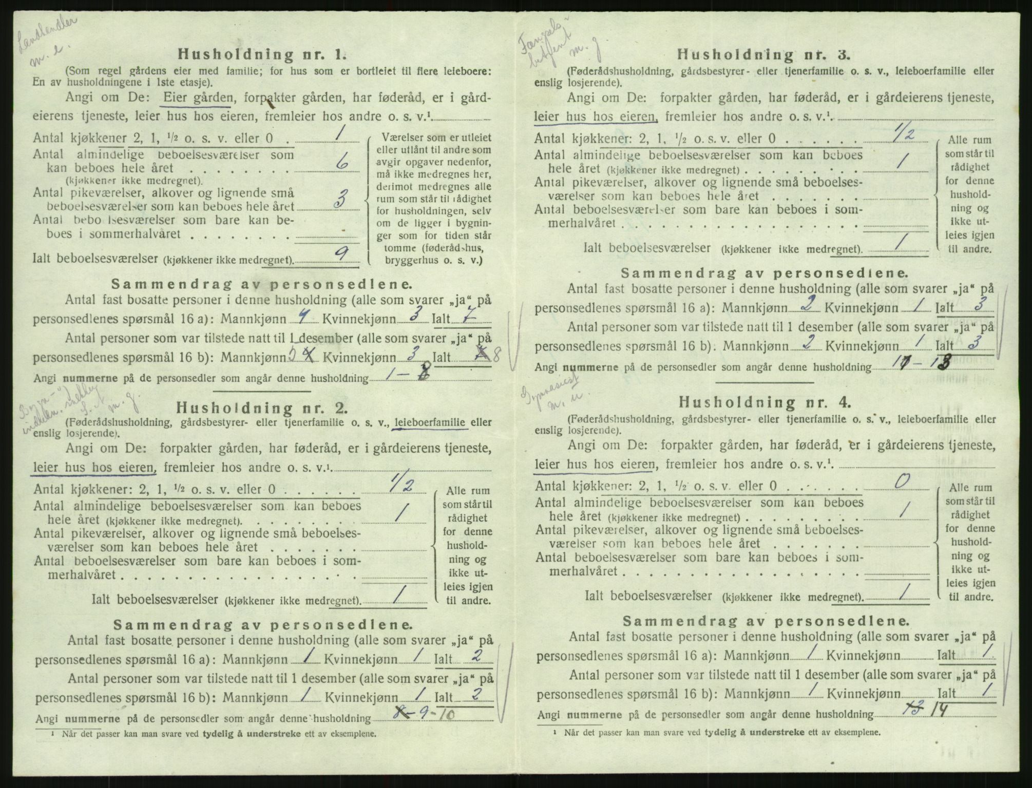 SAK, Folketelling 1920 for 0936 Hornnes herred, 1920, s. 308