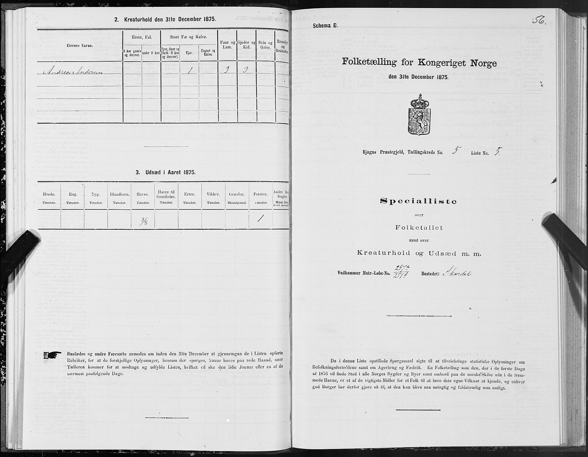 SAT, Folketelling 1875 for 1627P Bjugn prestegjeld, 1875, s. 3056