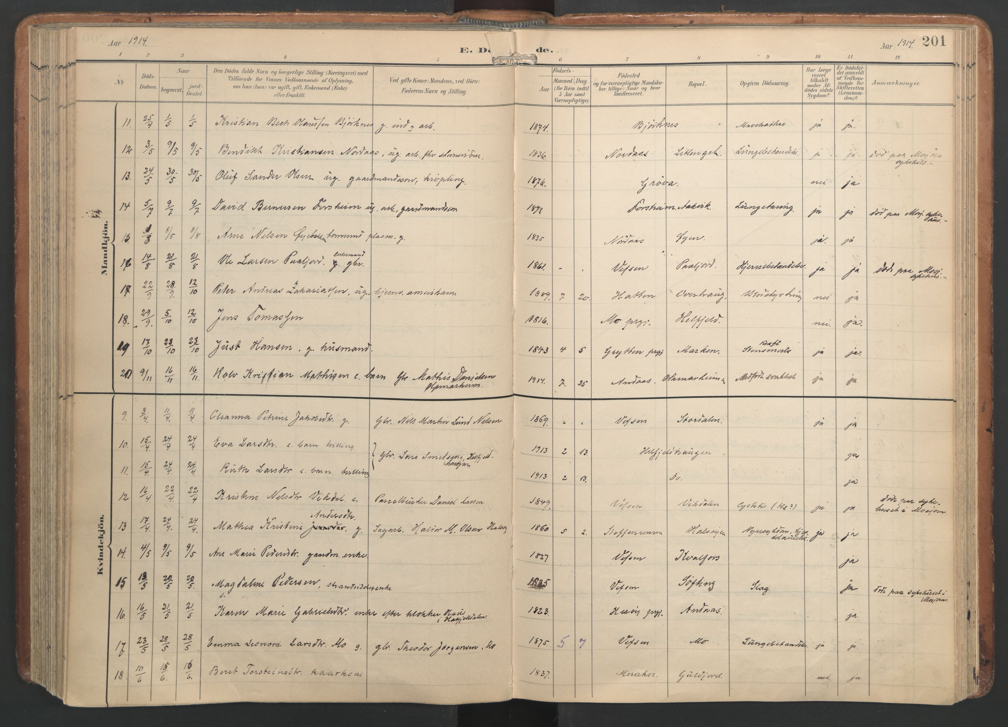 Ministerialprotokoller, klokkerbøker og fødselsregistre - Nordland, AV/SAT-A-1459/820/L0298: Ministerialbok nr. 820A19, 1897-1915, s. 201