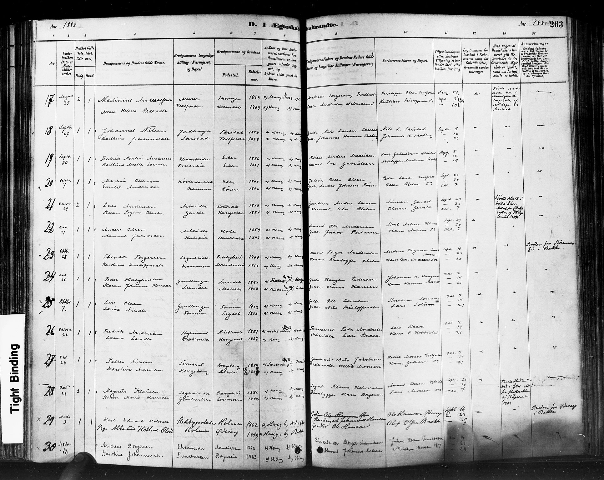 Eiker kirkebøker, SAKO/A-4/F/Fb/L0001: Ministerialbok nr. II 1, 1878-1888, s. 263