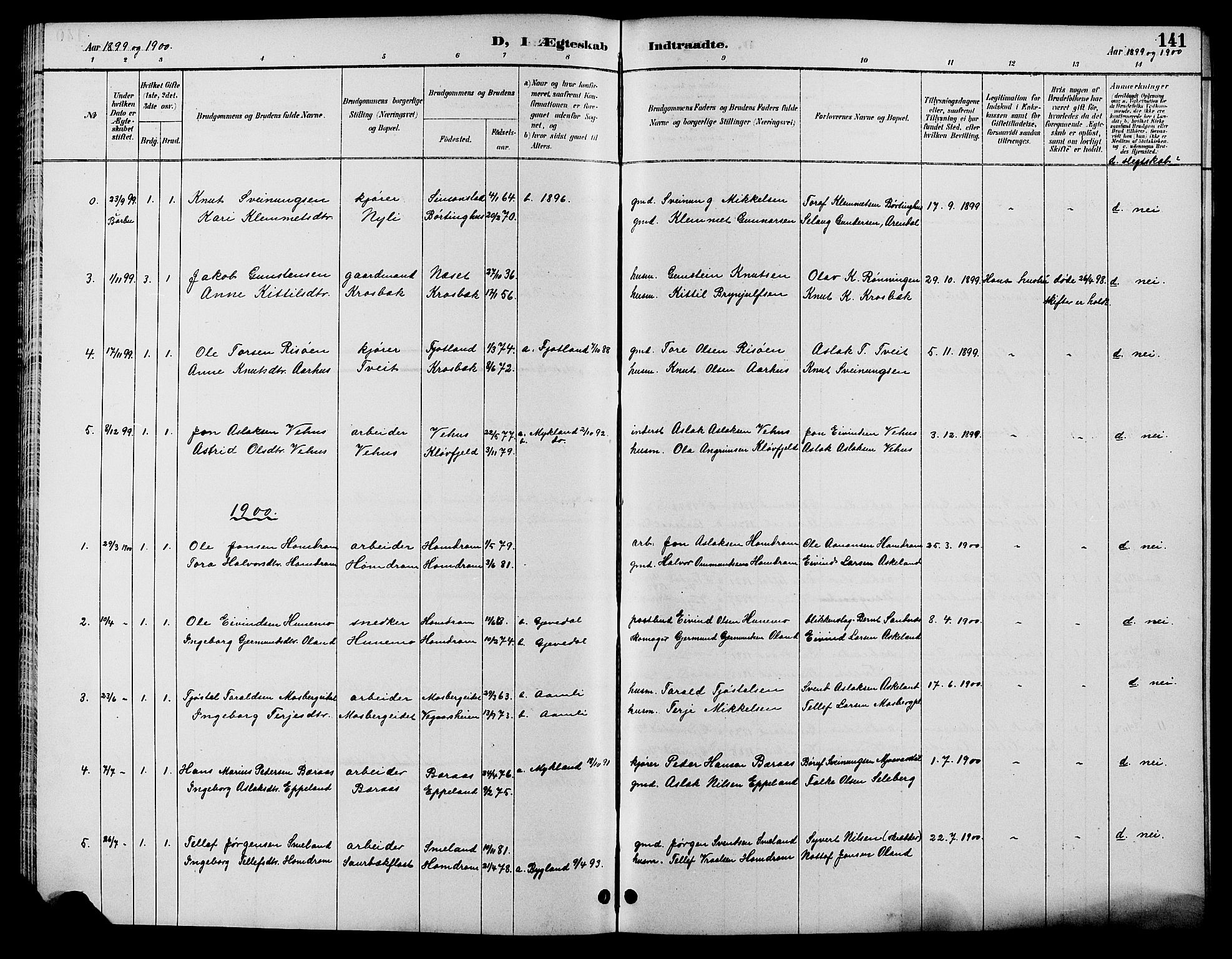 Åmli sokneprestkontor, SAK/1111-0050/F/Fb/Fbc/L0004: Klokkerbok nr. B 4, 1889-1902, s. 141