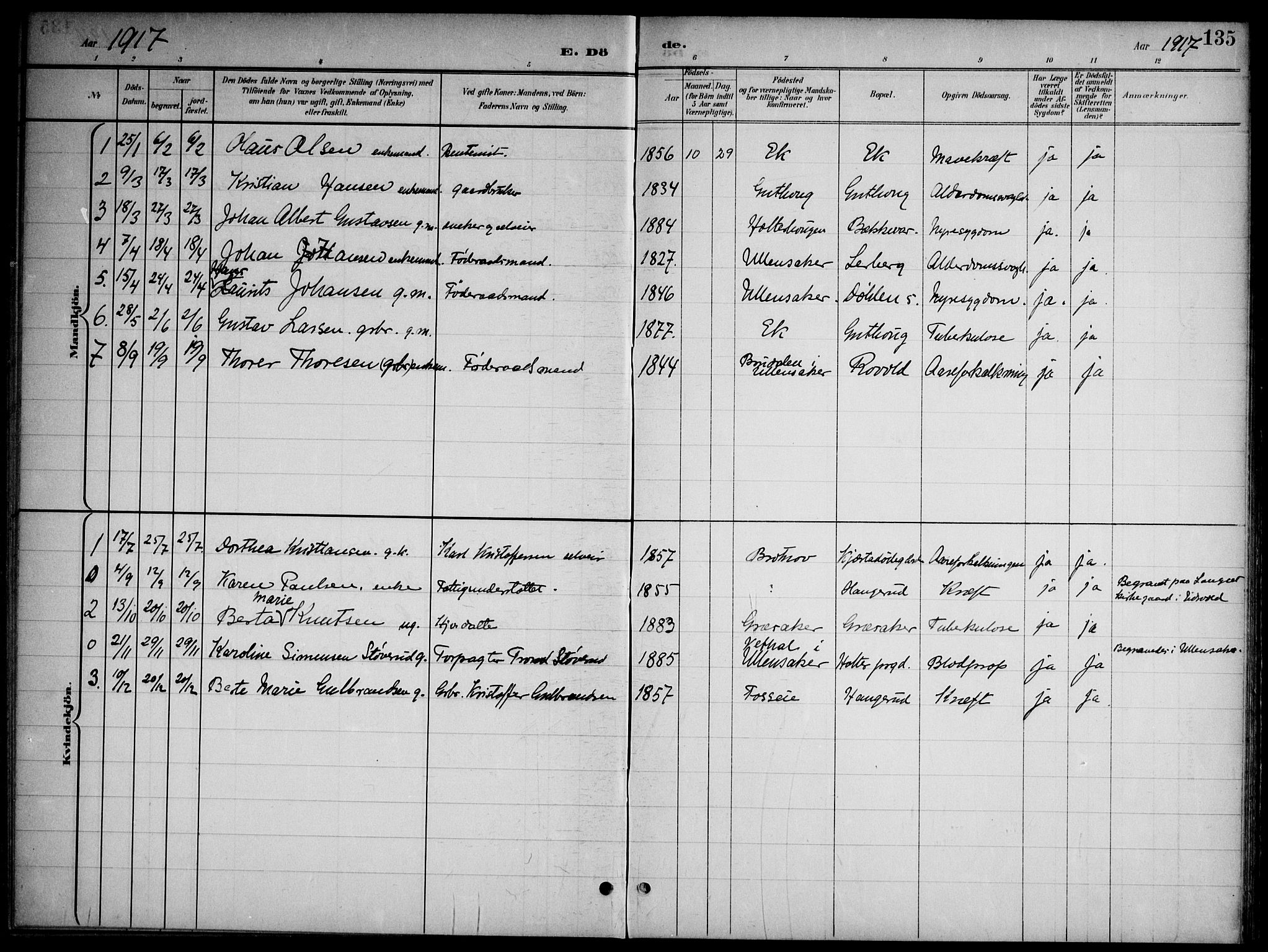 Nannestad prestekontor Kirkebøker, AV/SAO-A-10414a/G/Gb/L0001: Klokkerbok nr. II 1, 1901-1917, s. 135