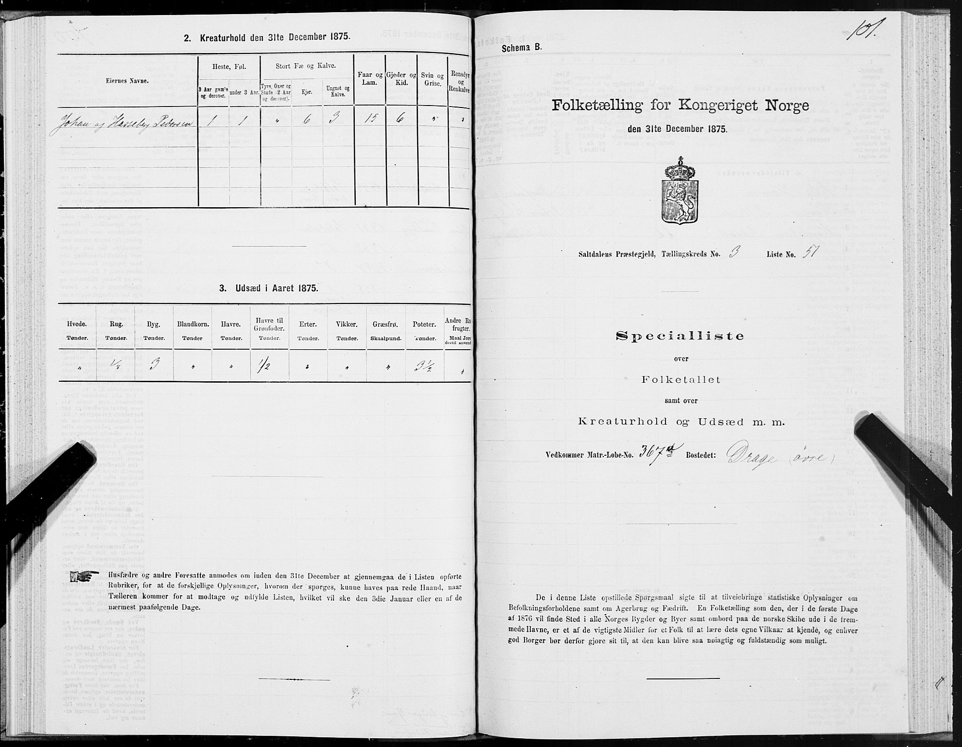 SAT, Folketelling 1875 for 1840P Saltdal prestegjeld, 1875, s. 2101