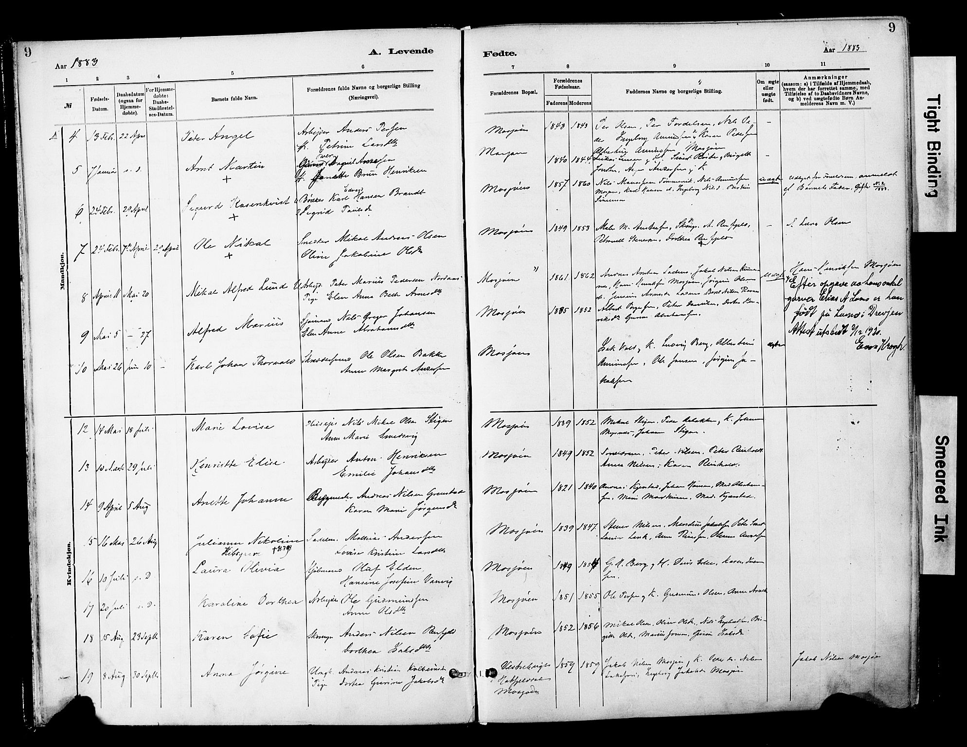 Ministerialprotokoller, klokkerbøker og fødselsregistre - Nordland, AV/SAT-A-1459/820/L0296: Ministerialbok nr. 820A17, 1880-1903, s. 9