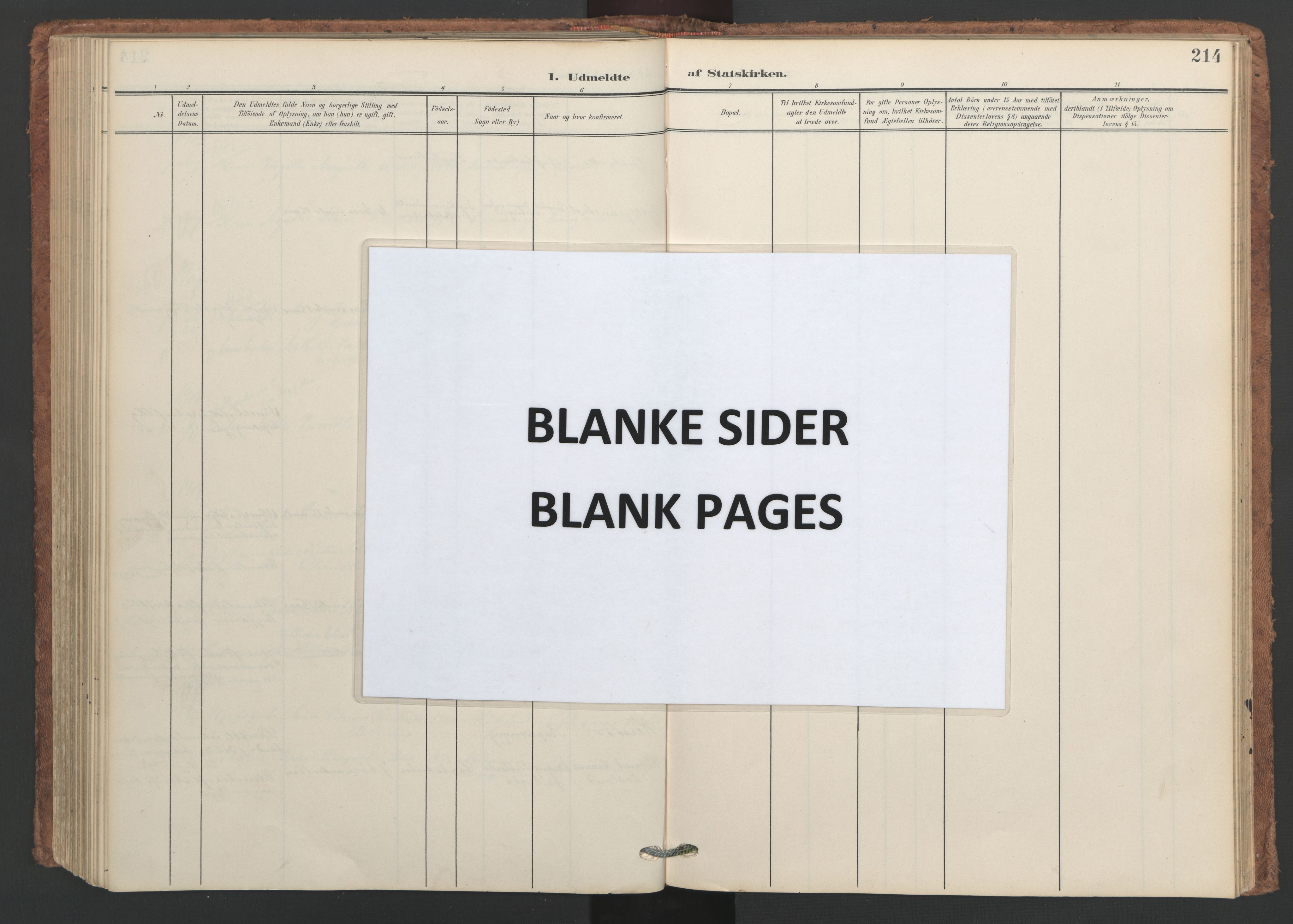 Ministerialprotokoller, klokkerbøker og fødselsregistre - Nordland, AV/SAT-A-1459/893/L1339: Ministerialbok nr. 893A11, 1904-1914, s. 214