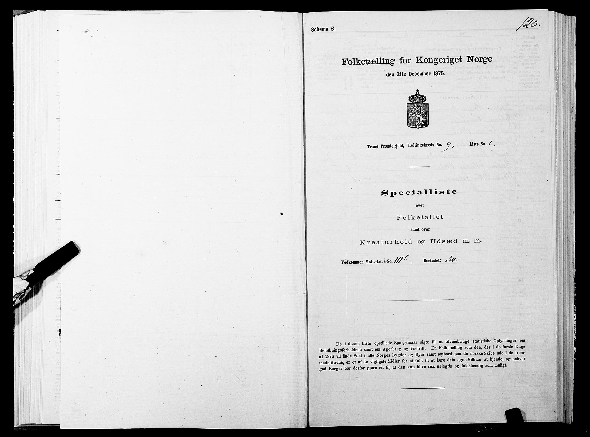 SATØ, Folketelling 1875 for 1927P Tranøy prestegjeld, 1875, s. 4120