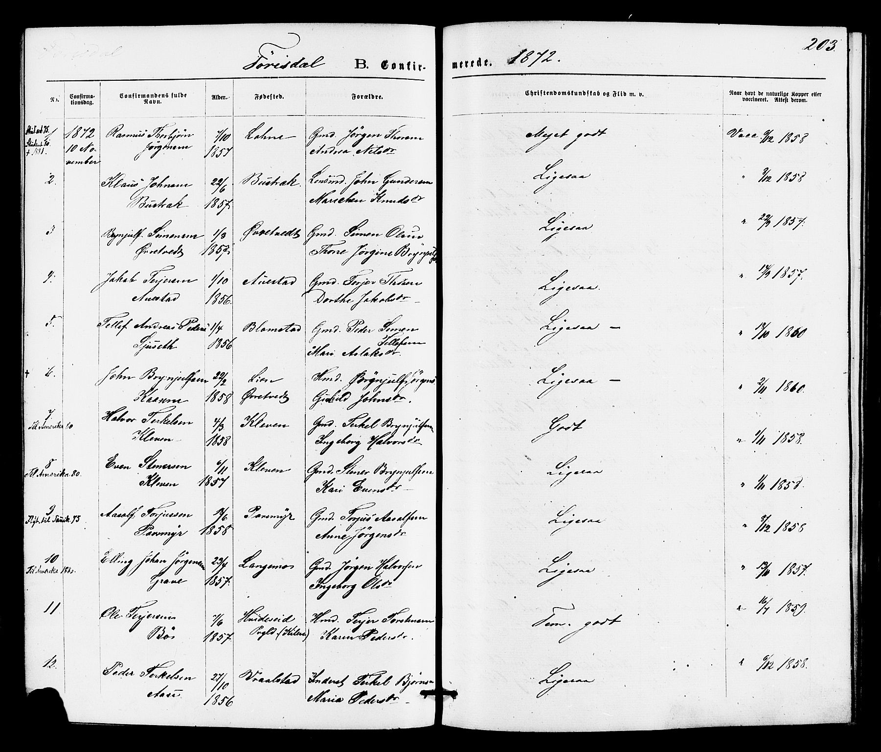 Drangedal kirkebøker, AV/SAKO-A-258/F/Fa/L0009: Ministerialbok nr. 9 /2, 1872-1884, s. 203