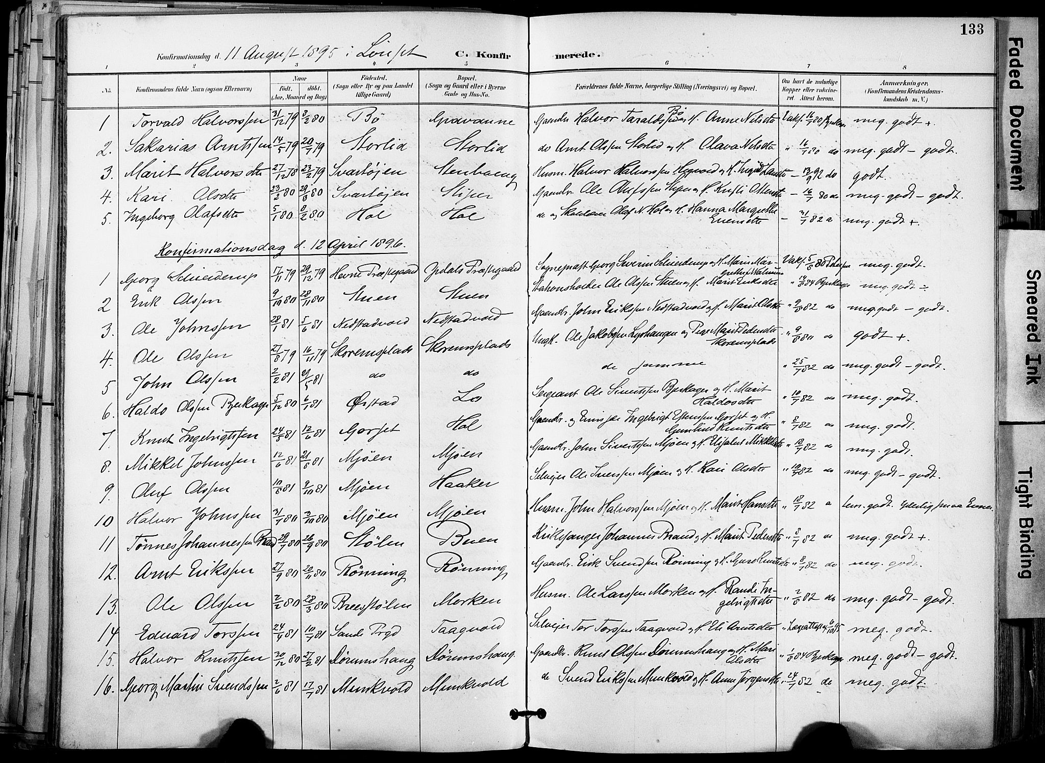 Ministerialprotokoller, klokkerbøker og fødselsregistre - Sør-Trøndelag, SAT/A-1456/678/L0902: Ministerialbok nr. 678A11, 1895-1911, s. 133