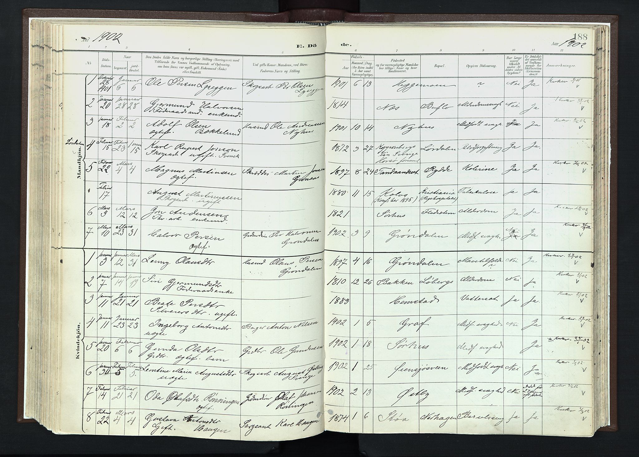 Trysil prestekontor, AV/SAH-PREST-046/H/Ha/Haa/L0013: Ministerialbok nr. 13, 1898-1911, s. 188