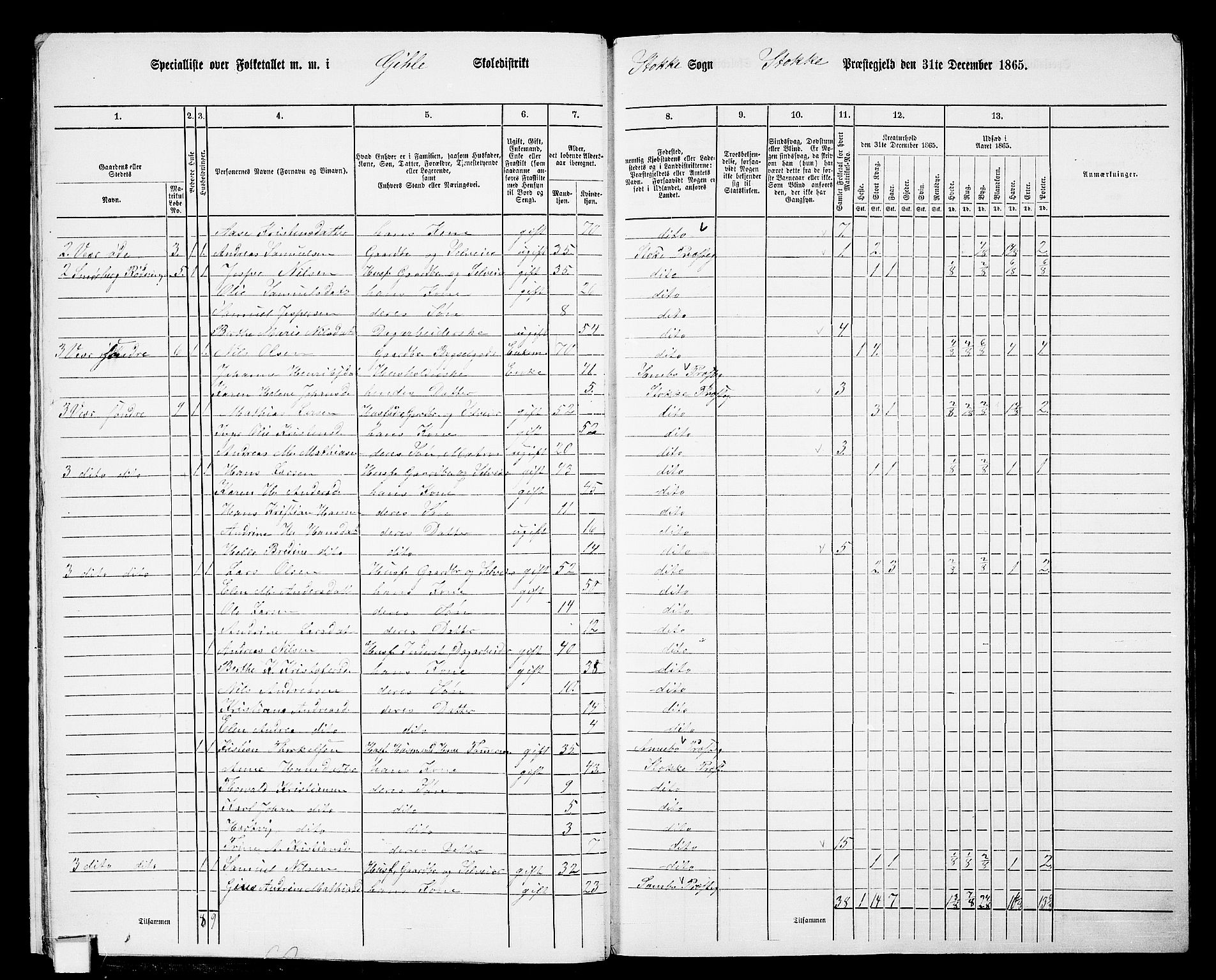 RA, Folketelling 1865 for 0720P Stokke prestegjeld, 1865, s. 16