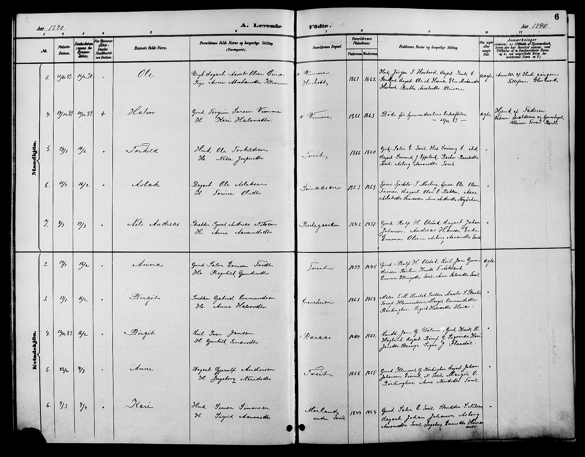 Åmli sokneprestkontor, SAK/1111-0050/F/Fb/Fbc/L0004: Klokkerbok nr. B 4, 1889-1902, s. 6