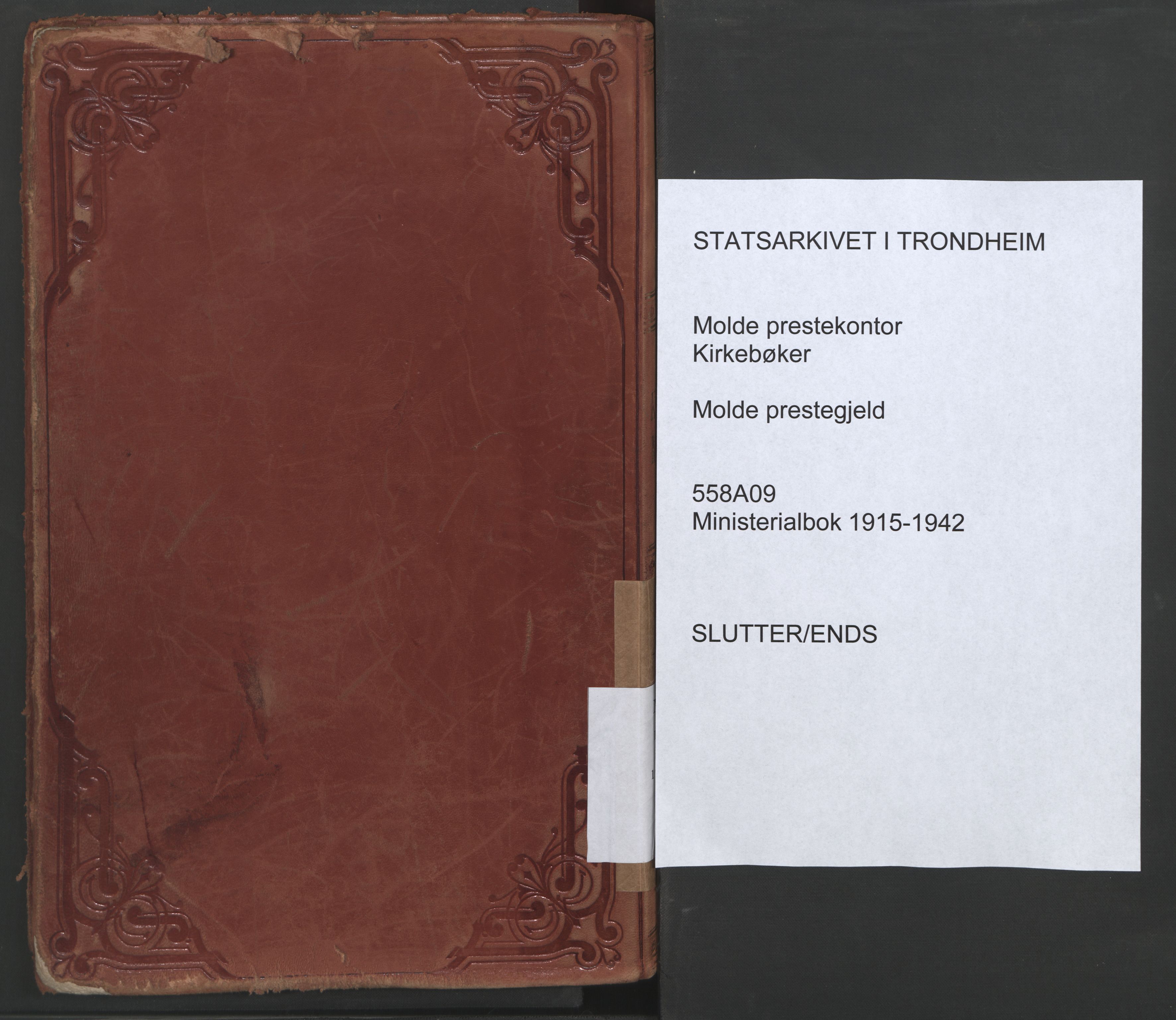 Ministerialprotokoller, klokkerbøker og fødselsregistre - Møre og Romsdal, AV/SAT-A-1454/558/L0695: Ministerialbok nr. 558A09, 1915-1942