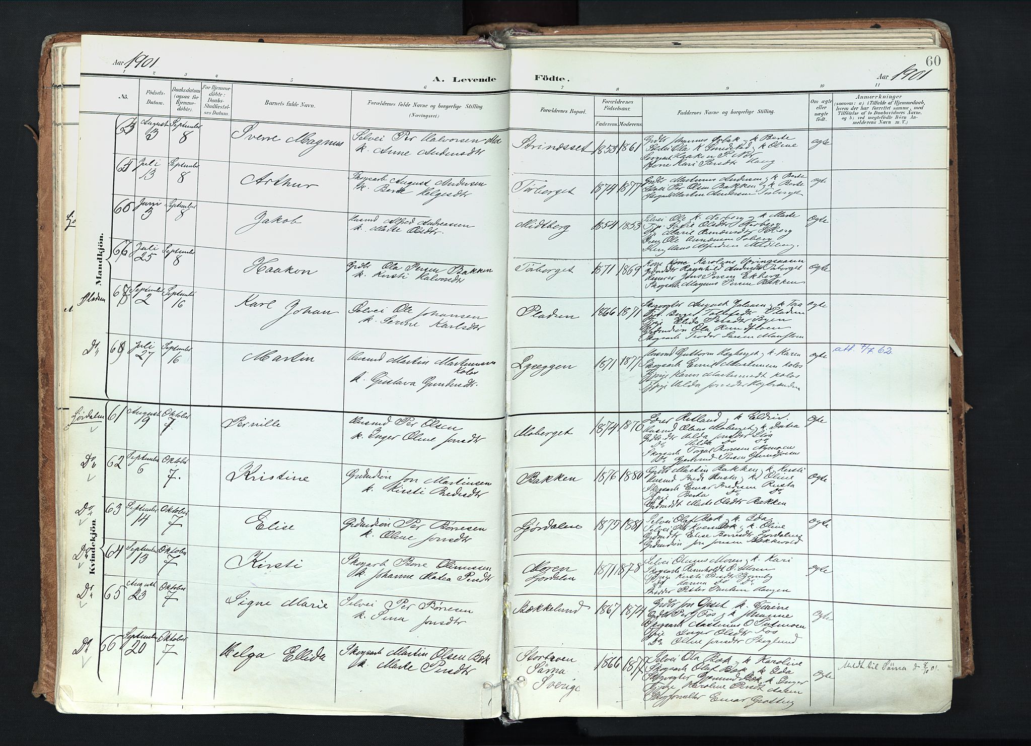 Trysil prestekontor, AV/SAH-PREST-046/H/Ha/Haa/L0012: Ministerialbok nr. 12, 1898-1917, s. 60