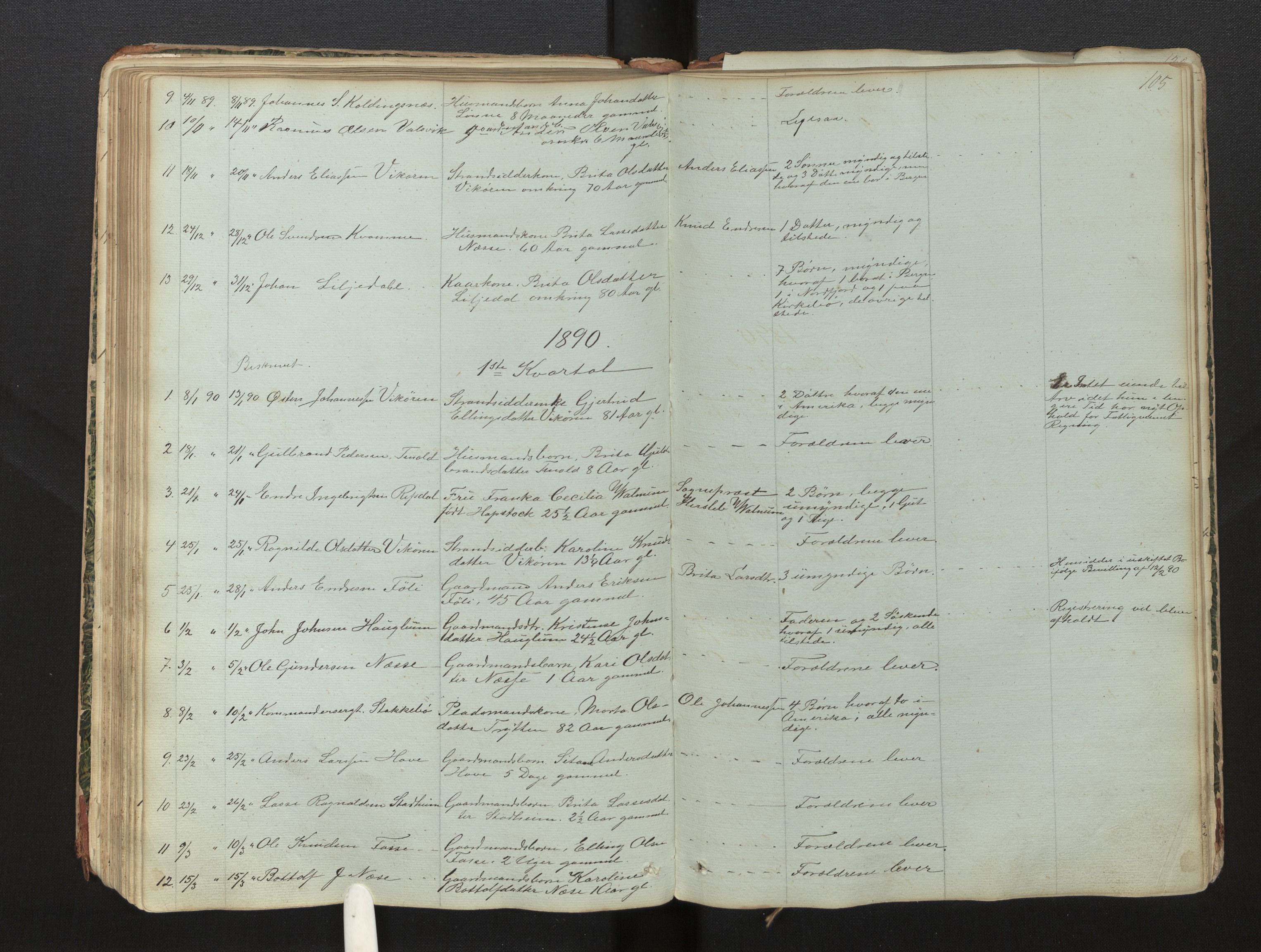Lensmannen i Vik, AV/SAB-A-30301/0006/L0013: Dødsfallprotokoll, 1849-1902, s. 105