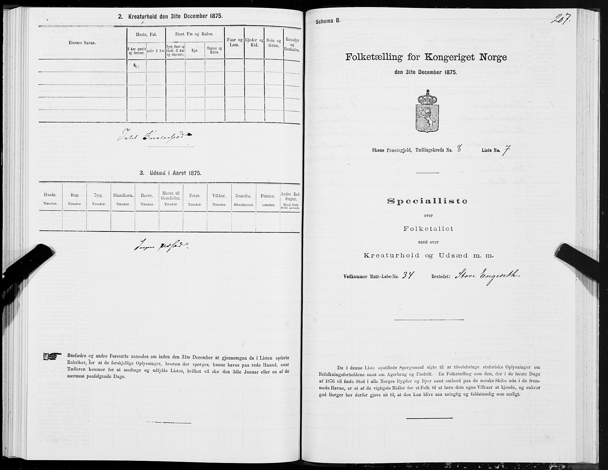 SAT, Folketelling 1875 for 1529P Skodje prestegjeld, 1875, s. 2207