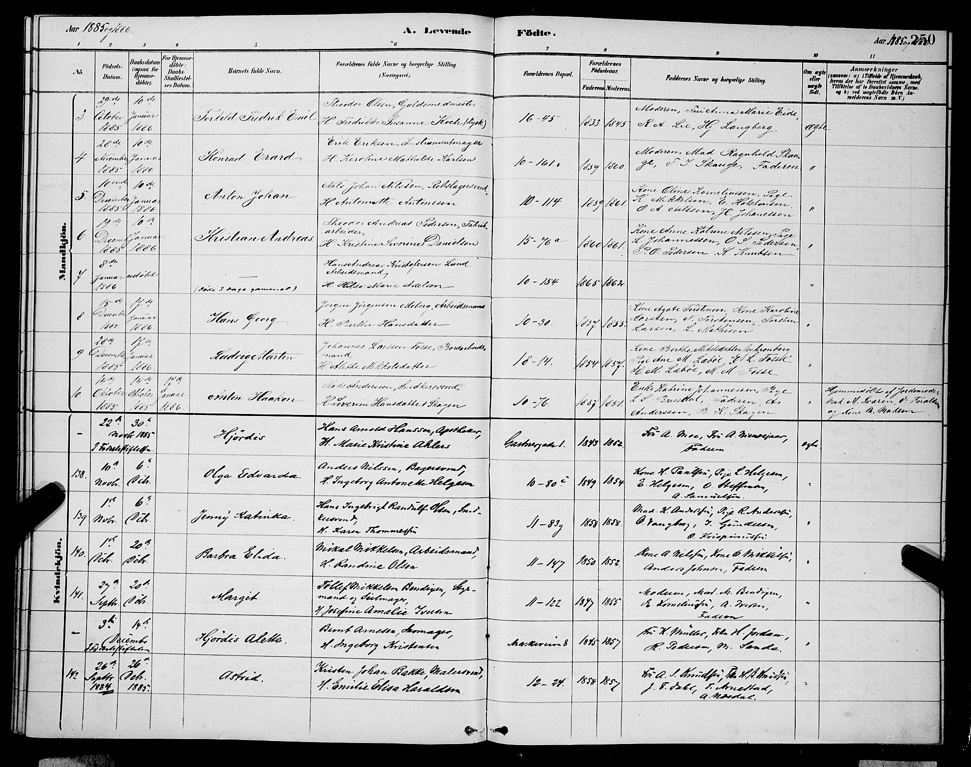 Domkirken sokneprestembete, AV/SAB-A-74801/H/Hab/L0015: Klokkerbok nr. B 8, 1879-1887, s. 250