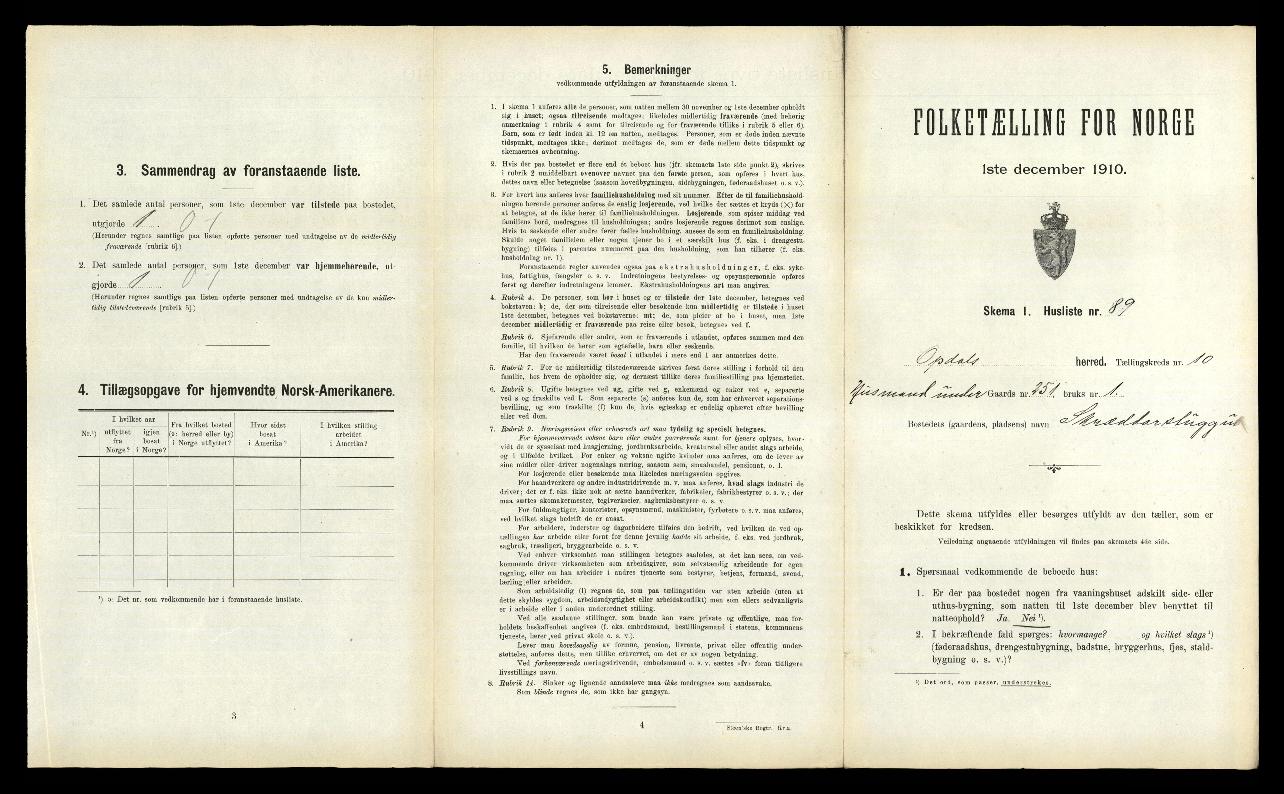 RA, Folketelling 1910 for 1634 Oppdal herred, 1910, s. 1213