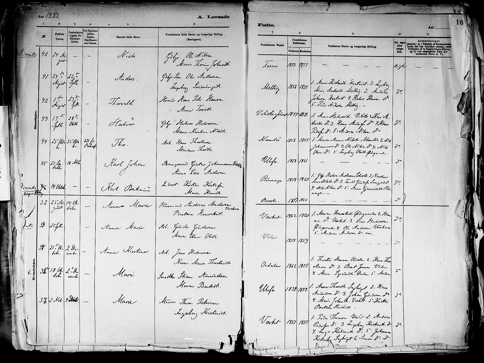 Holla kirkebøker, AV/SAKO-A-272/F/Fa/L0008: Ministerialbok nr. 8, 1882-1897, s. 16