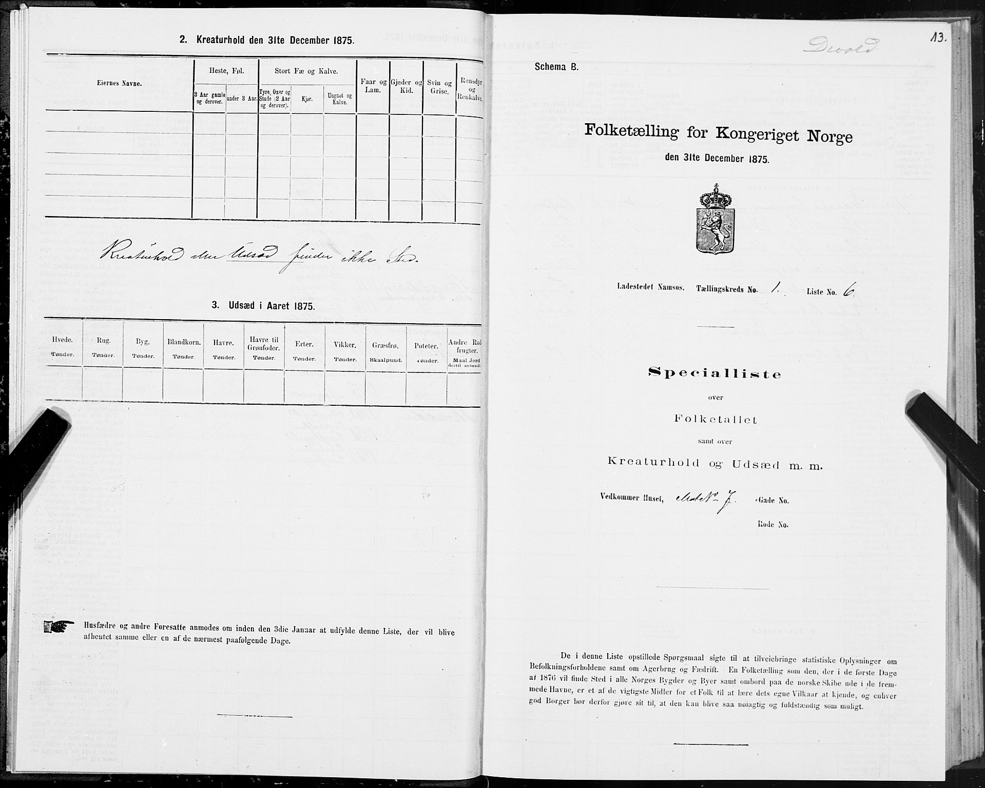 SAT, Folketelling 1875 for 1703B Namsos prestegjeld, Namsos ladested, 1875, s. 13