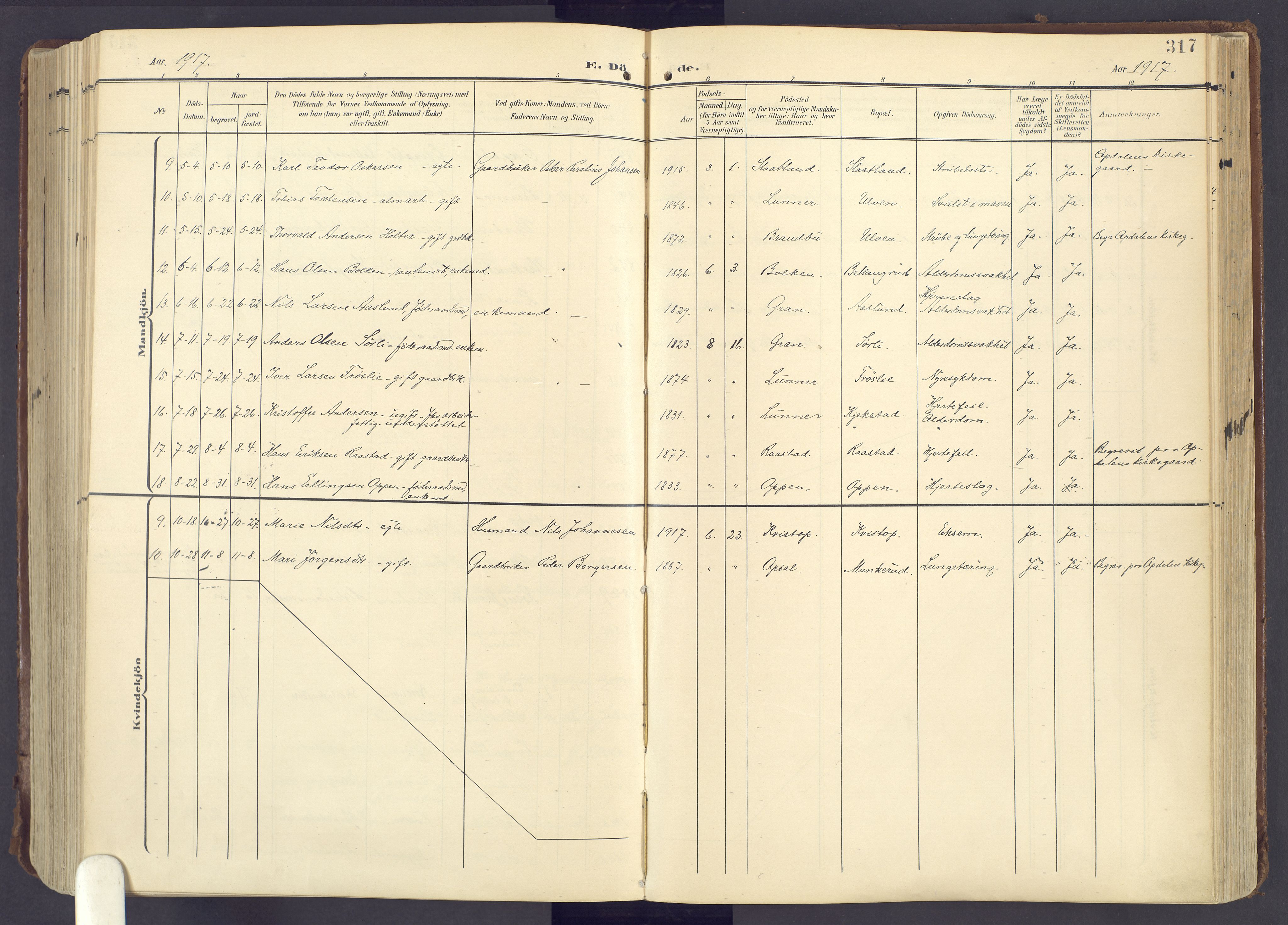 Lunner prestekontor, AV/SAH-PREST-118/H/Ha/Haa/L0001: Ministerialbok nr. 1, 1907-1922, s. 317