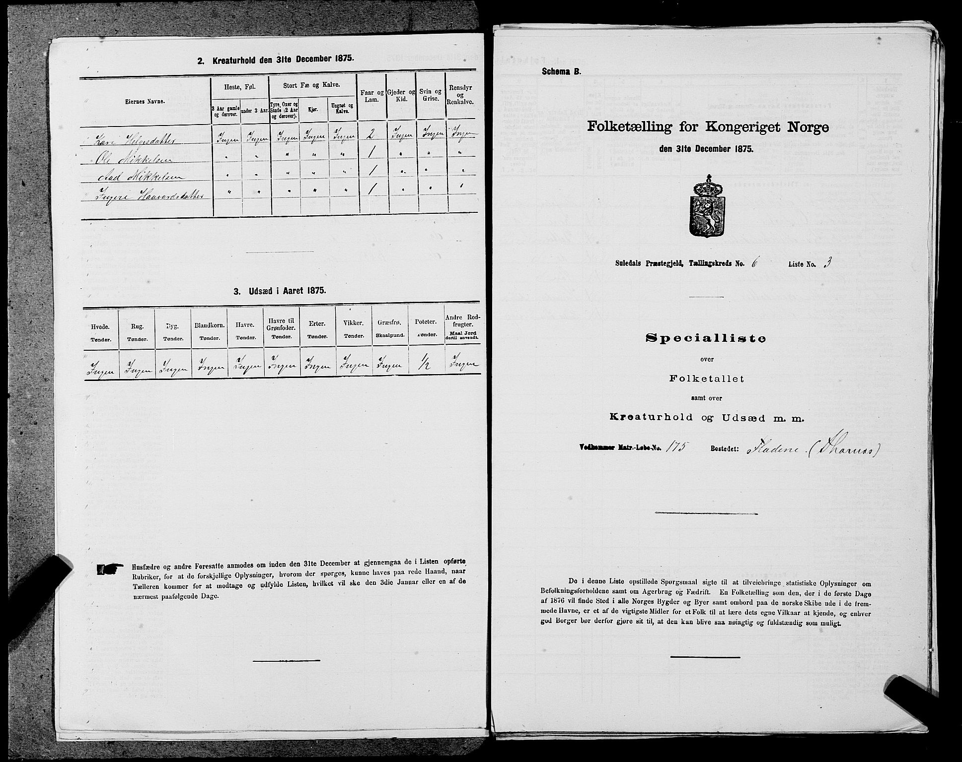 SAST, Folketelling 1875 for 1134P Suldal prestegjeld, 1875, s. 677