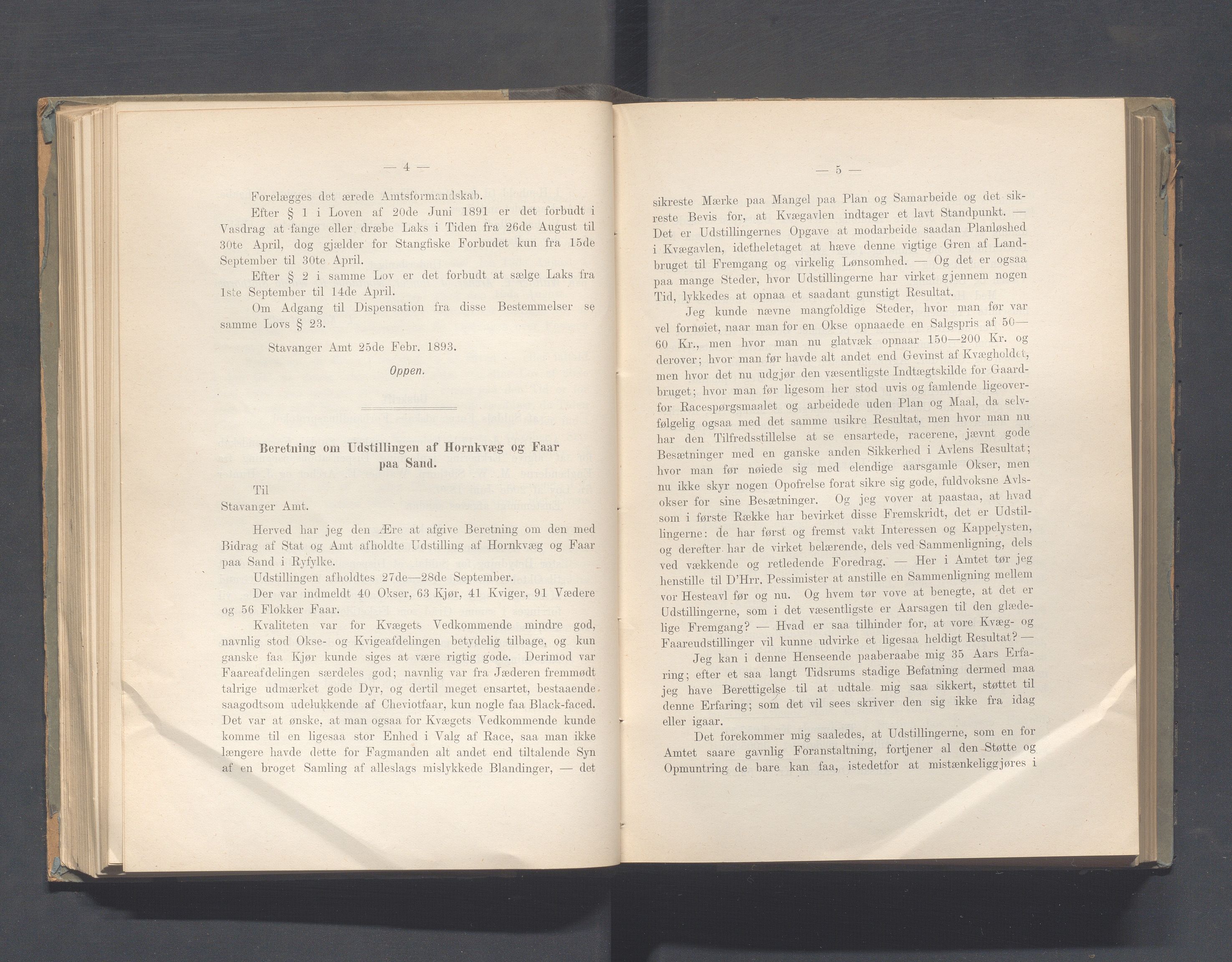 Rogaland fylkeskommune - Fylkesrådmannen , IKAR/A-900/A, 1893, s. 100