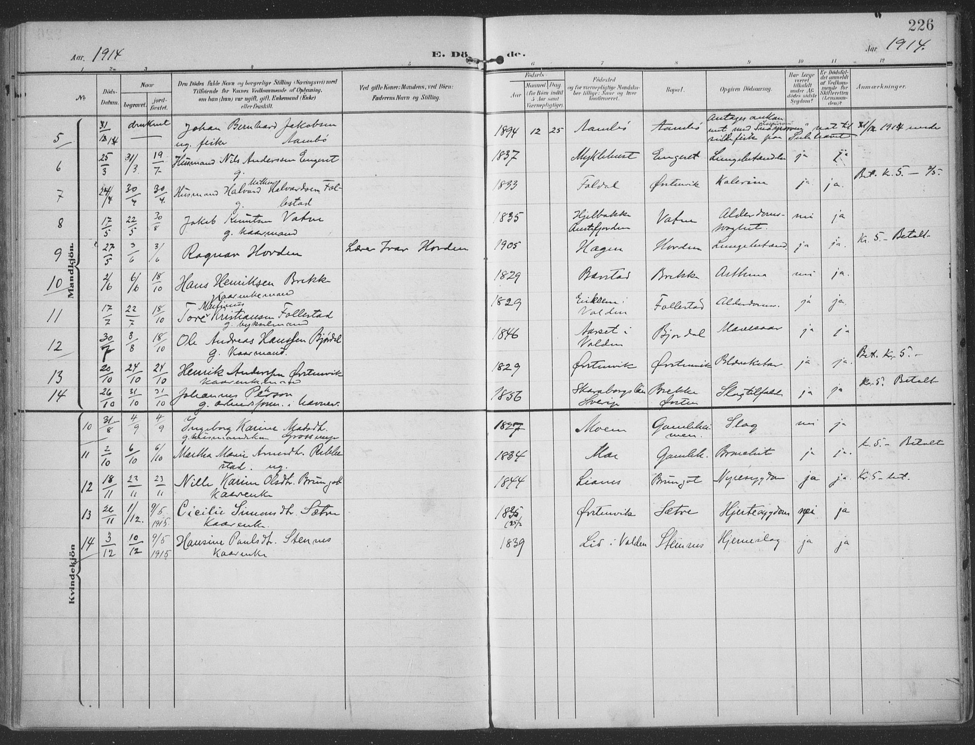 Ministerialprotokoller, klokkerbøker og fødselsregistre - Møre og Romsdal, AV/SAT-A-1454/513/L0178: Ministerialbok nr. 513A05, 1906-1919, s. 226