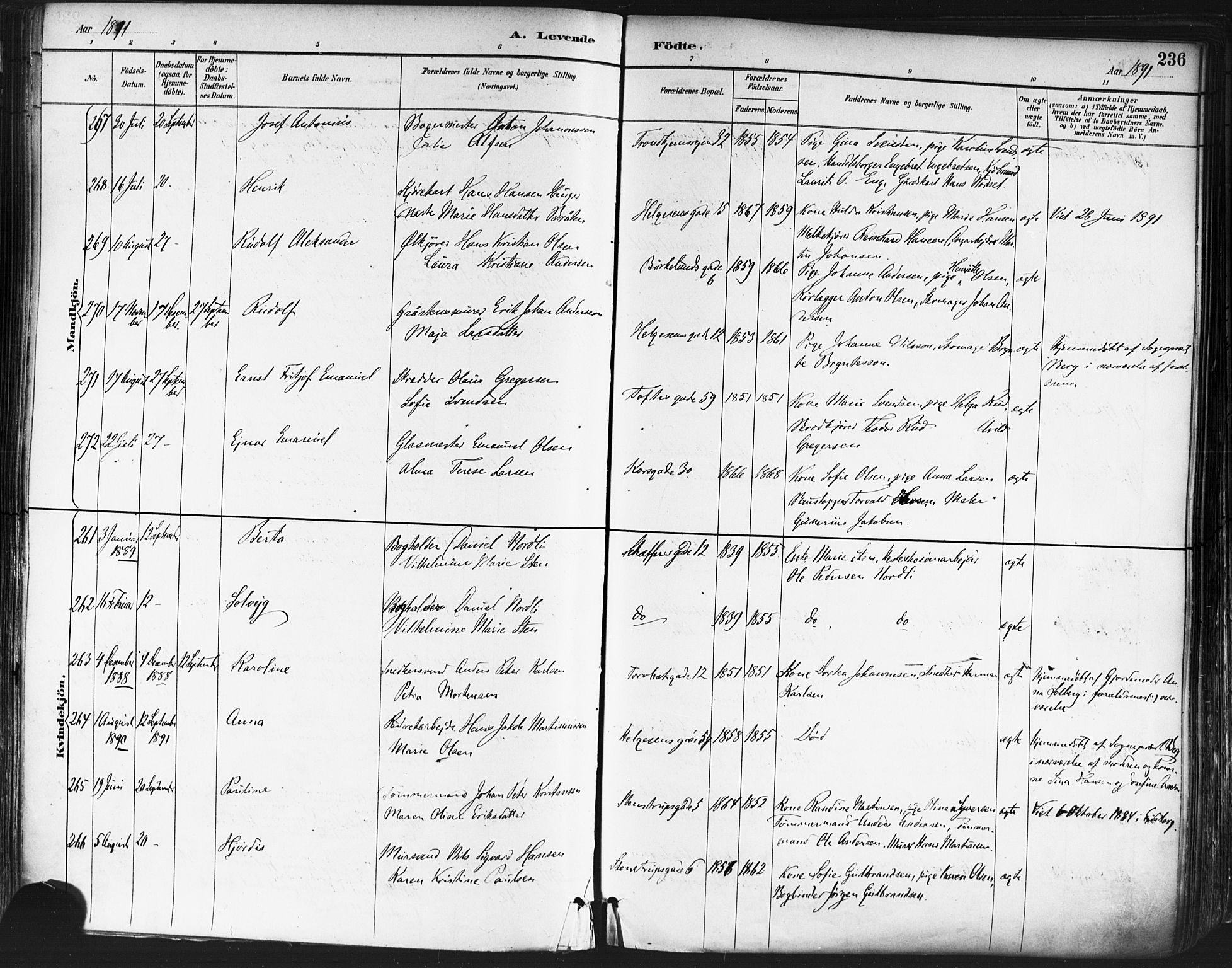 Paulus prestekontor Kirkebøker, AV/SAO-A-10871/F/Fa/L0013: Ministerialbok nr. 13, 1887-1894, s. 236