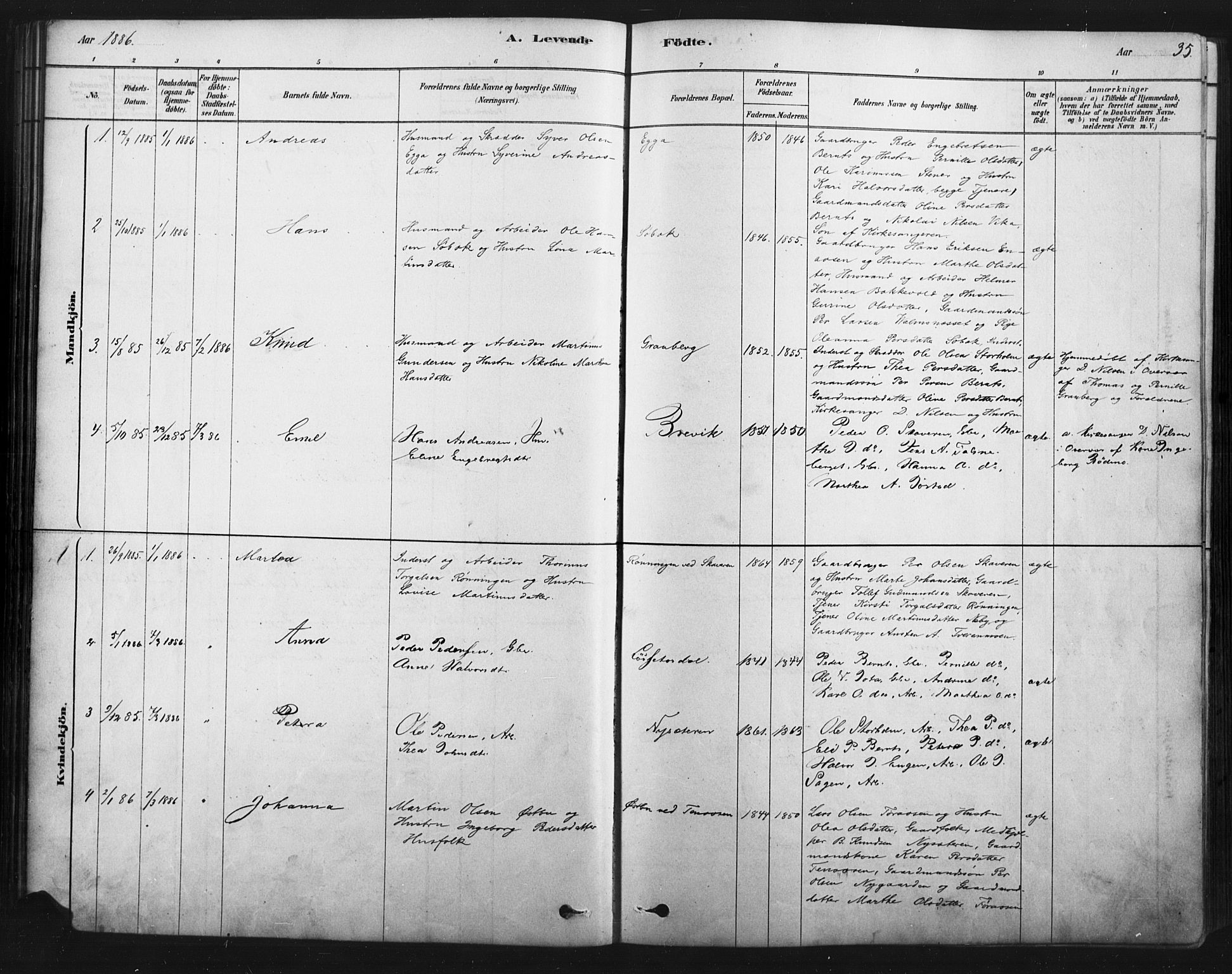 Åmot prestekontor, Hedmark, AV/SAH-PREST-056/H/Ha/Haa/L0012: Ministerialbok nr. 12, 1878-1901, s. 35