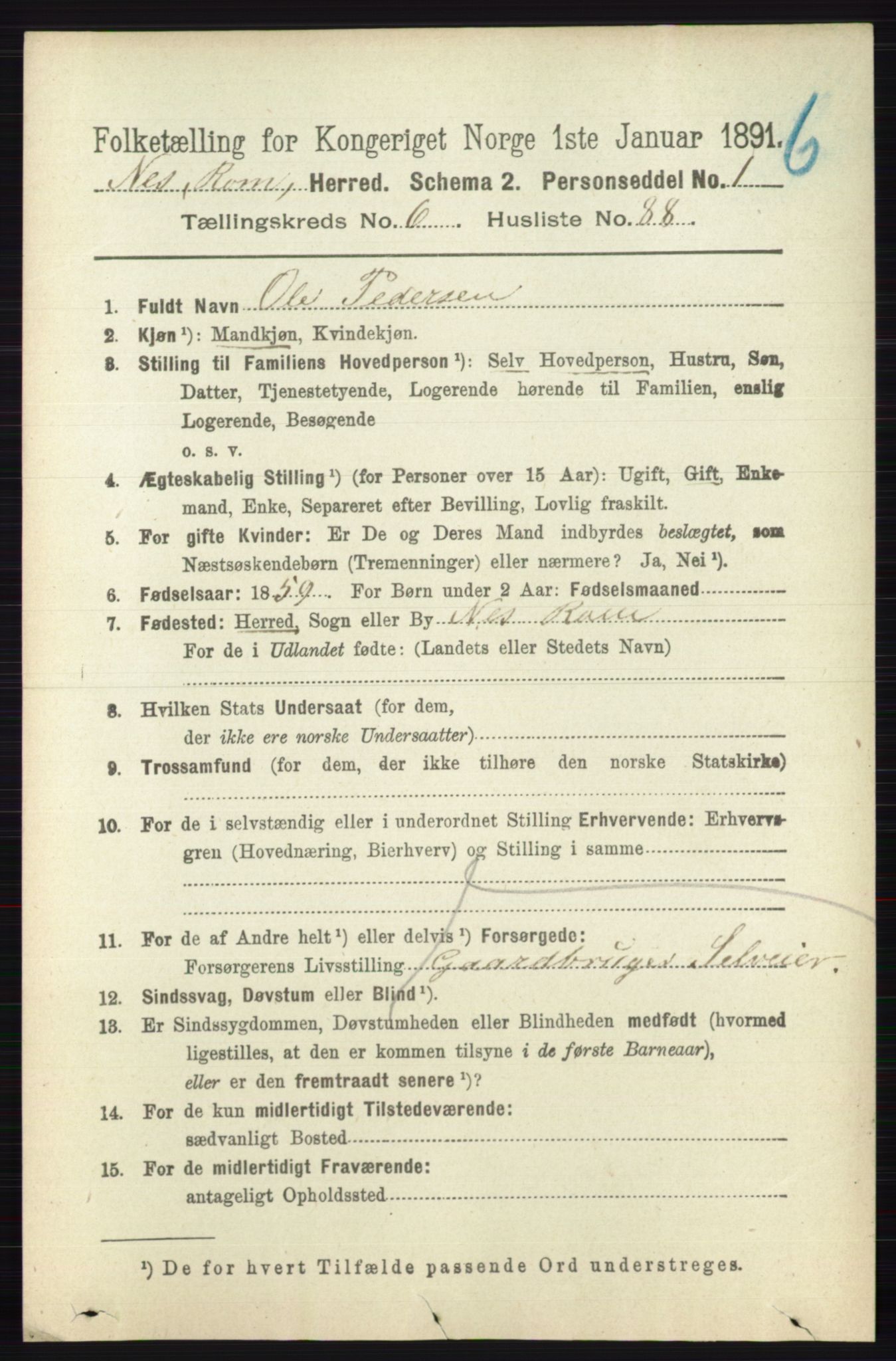 RA, Folketelling 1891 for 0236 Nes herred, 1891, s. 3922