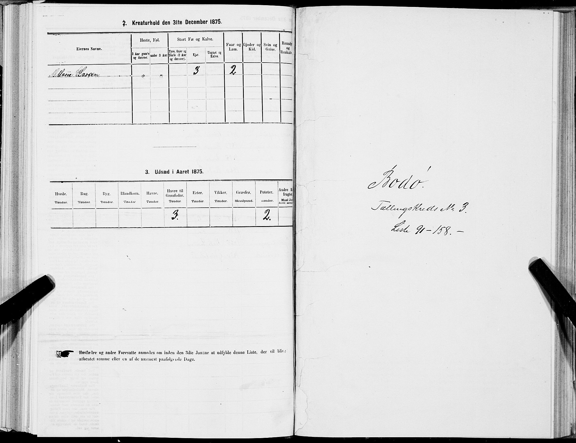 SAT, Folketelling 1875 for 1804B Bodø prestegjeld, Bodø kjøpstad, 1875