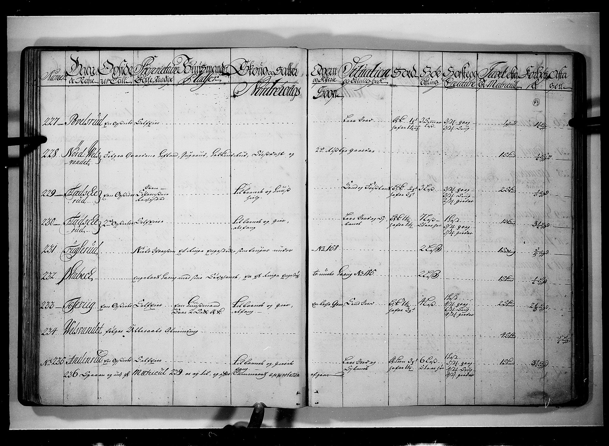 Rentekammeret inntil 1814, Realistisk ordnet avdeling, AV/RA-EA-4070/N/Nb/Nbf/L0109: Ringerike og Hallingdal eksaminasjonsprotokoll, 1723, s. 42b-43a