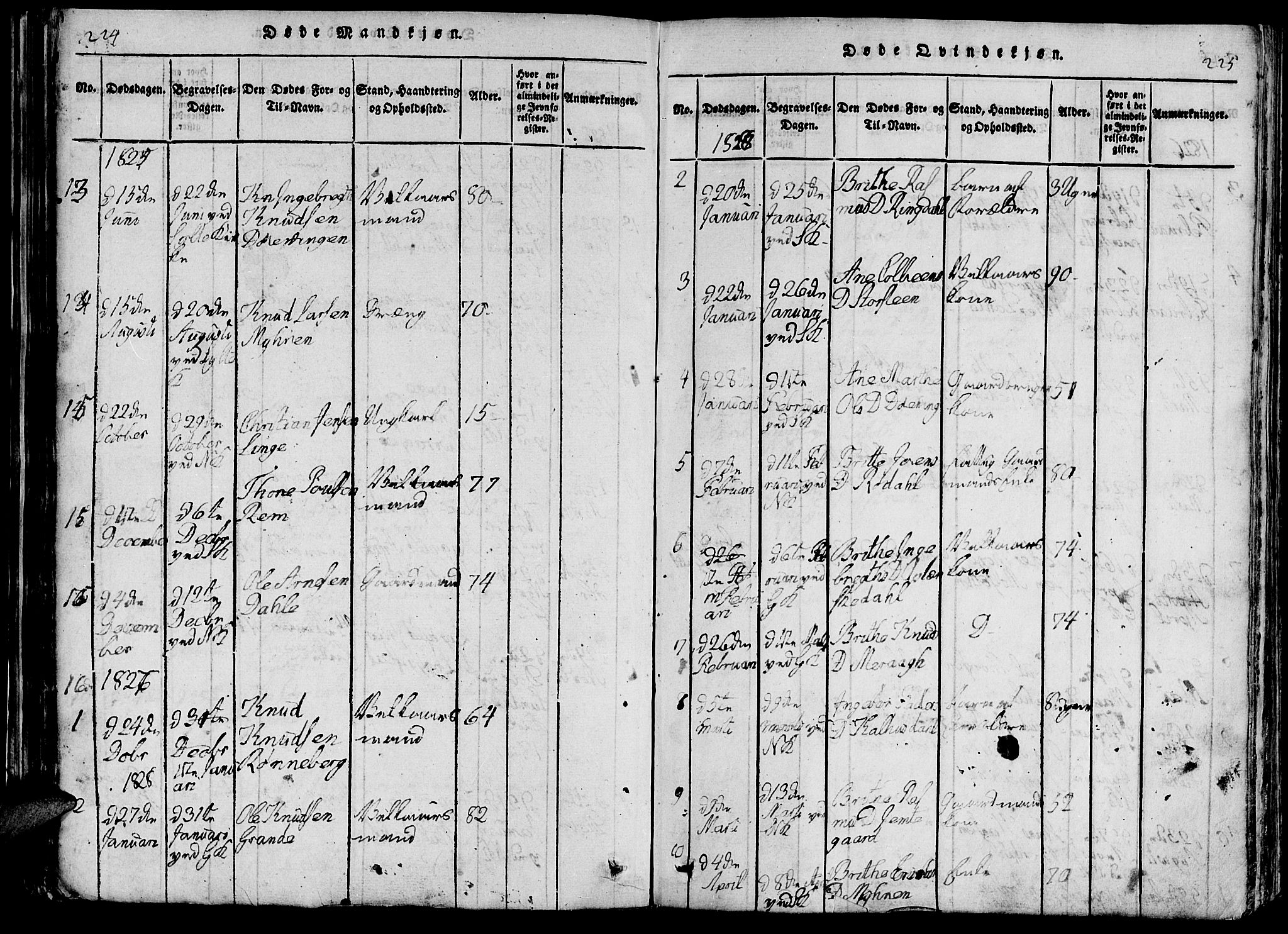 Ministerialprotokoller, klokkerbøker og fødselsregistre - Møre og Romsdal, AV/SAT-A-1454/519/L0260: Klokkerbok nr. 519C01, 1817-1829, s. 224-225