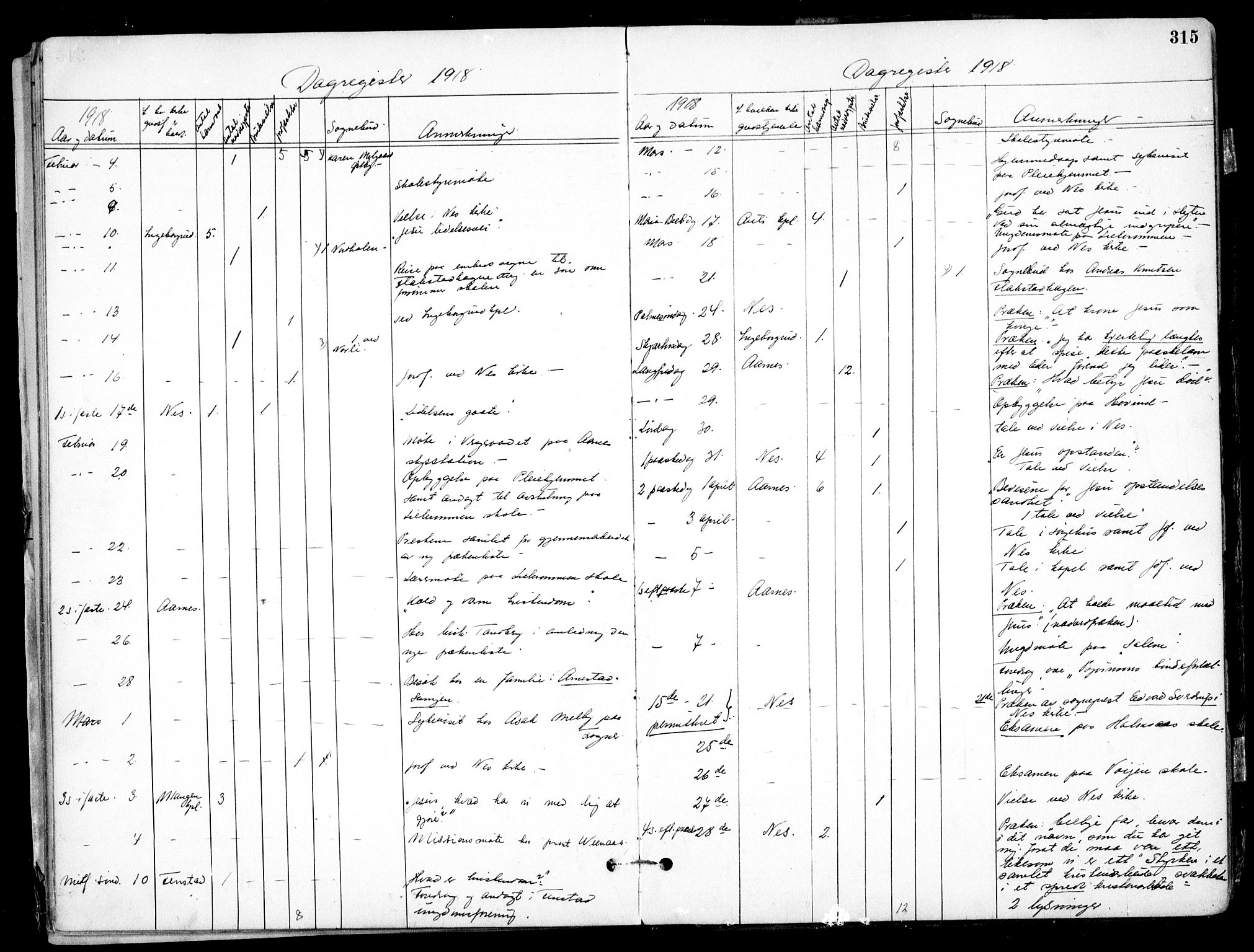 Nes prestekontor Kirkebøker, AV/SAO-A-10410/F/Fb/L0002: Ministerialbok nr. II 2, 1883-1918, s. 315