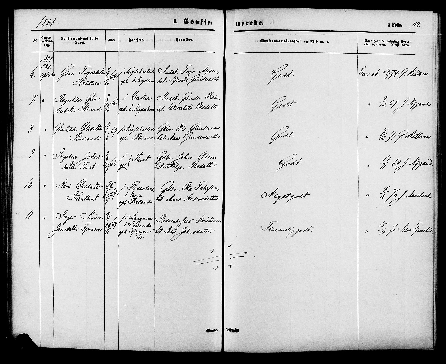 Herefoss sokneprestkontor, SAK/1111-0019/F/Fa/Fab/L0003: Ministerialbok nr. A 3, 1875-1886, s. 119