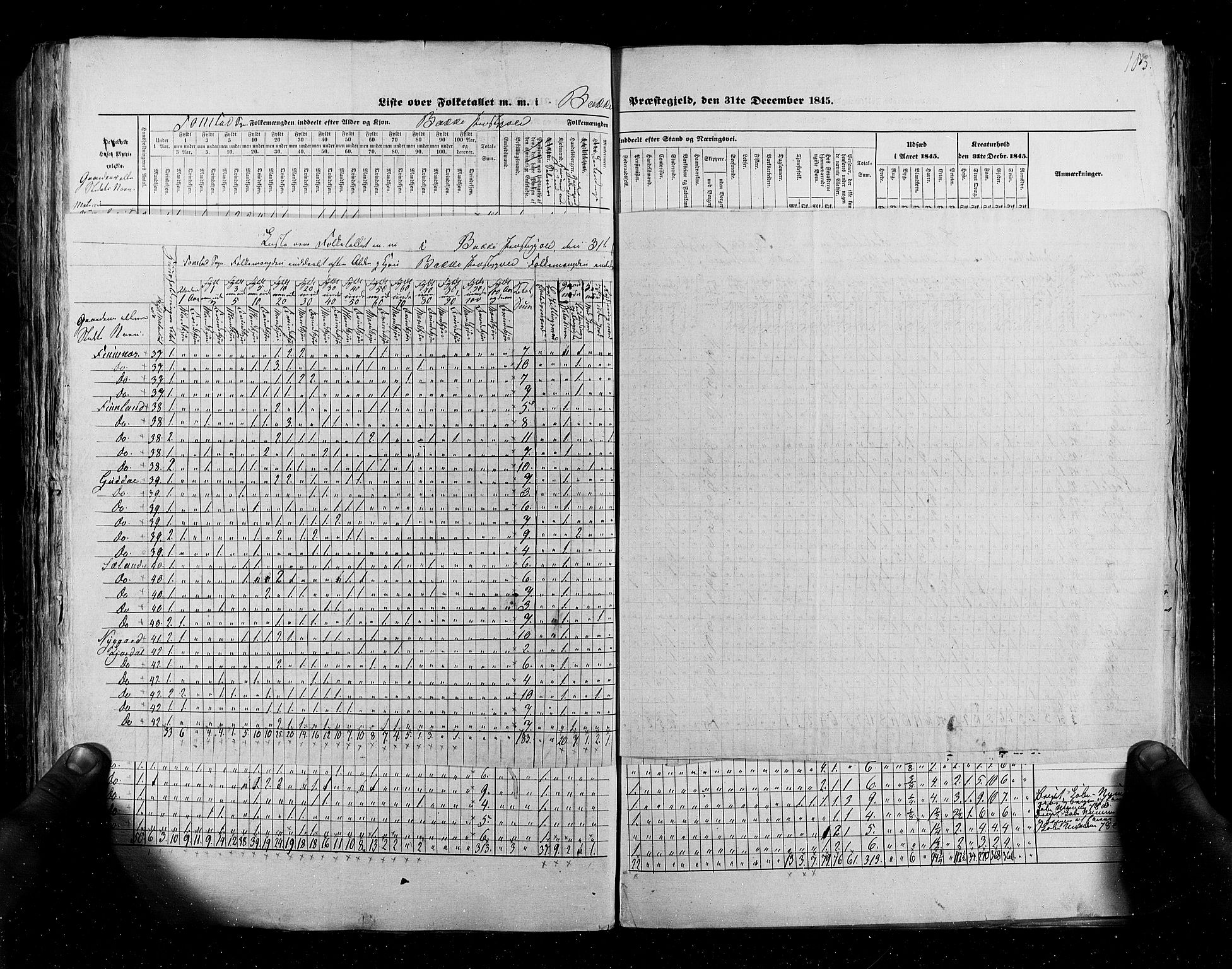 RA, Folketellingen 1845, bind 6: Lister og Mandal amt og Stavanger amt, 1845, s. 183